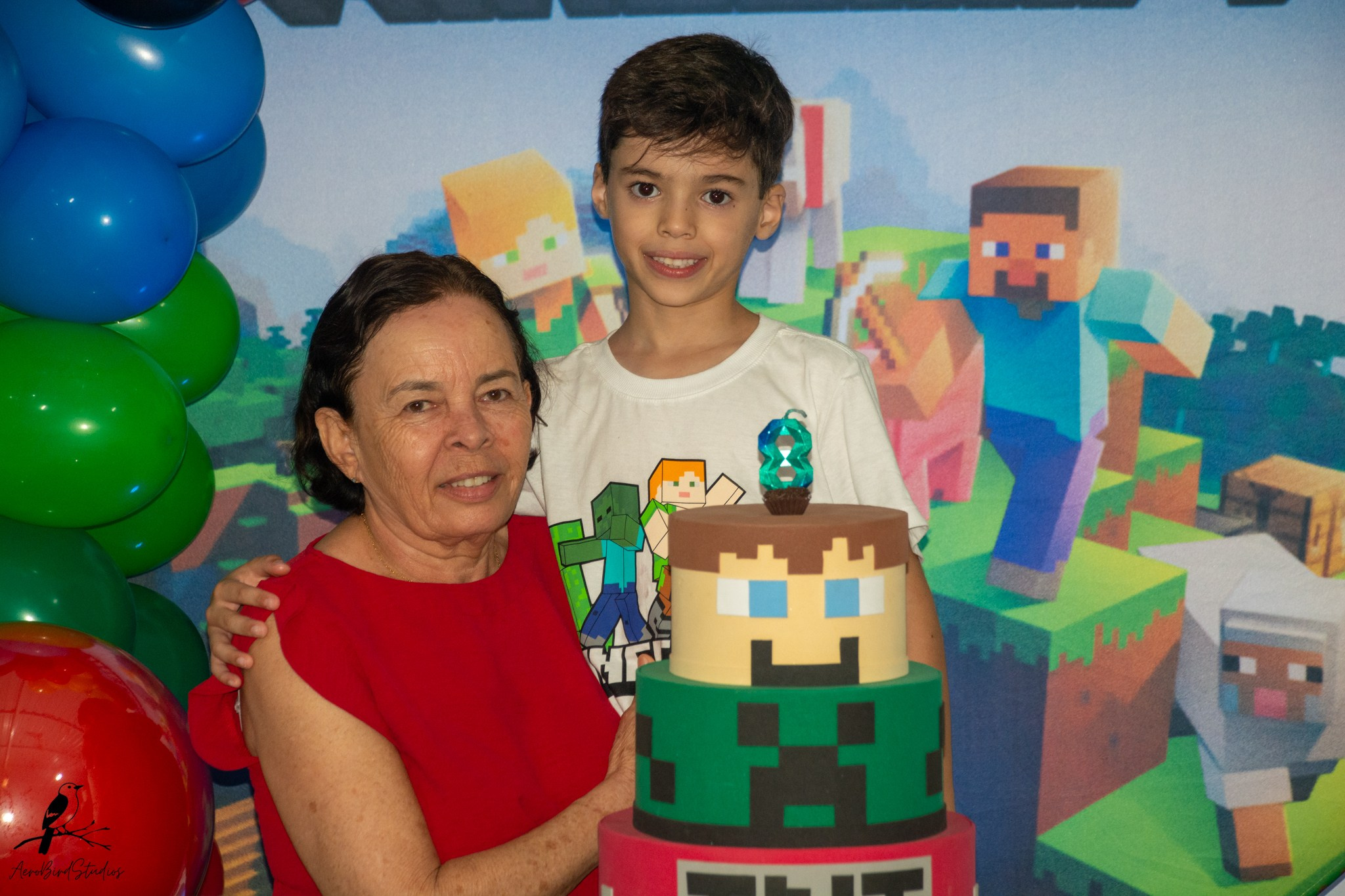 Leonardo 8 ano. AerobirdStudios