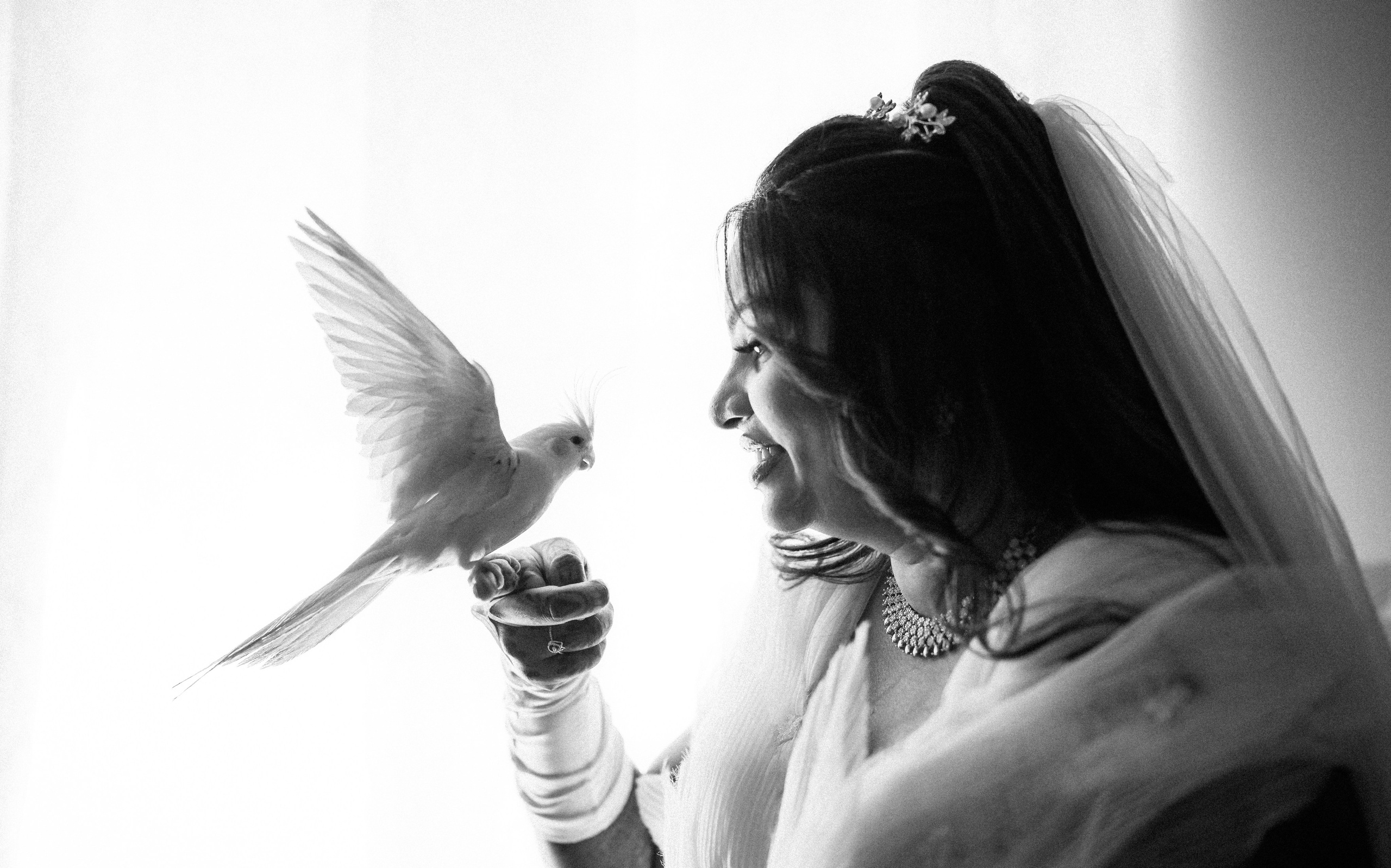 BRIDES OF TCW. Wedding photographer Stalen Robert
