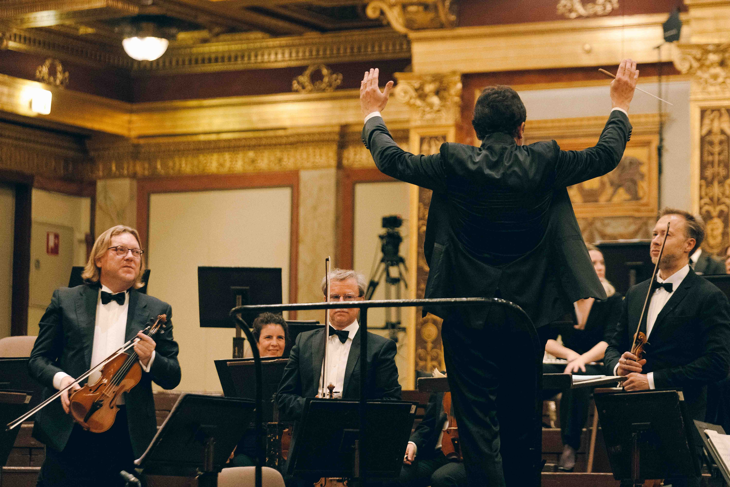 MUSIKVEREIN (VIENNA). Wedding&Event photographer Ismail Rzayev in Baku