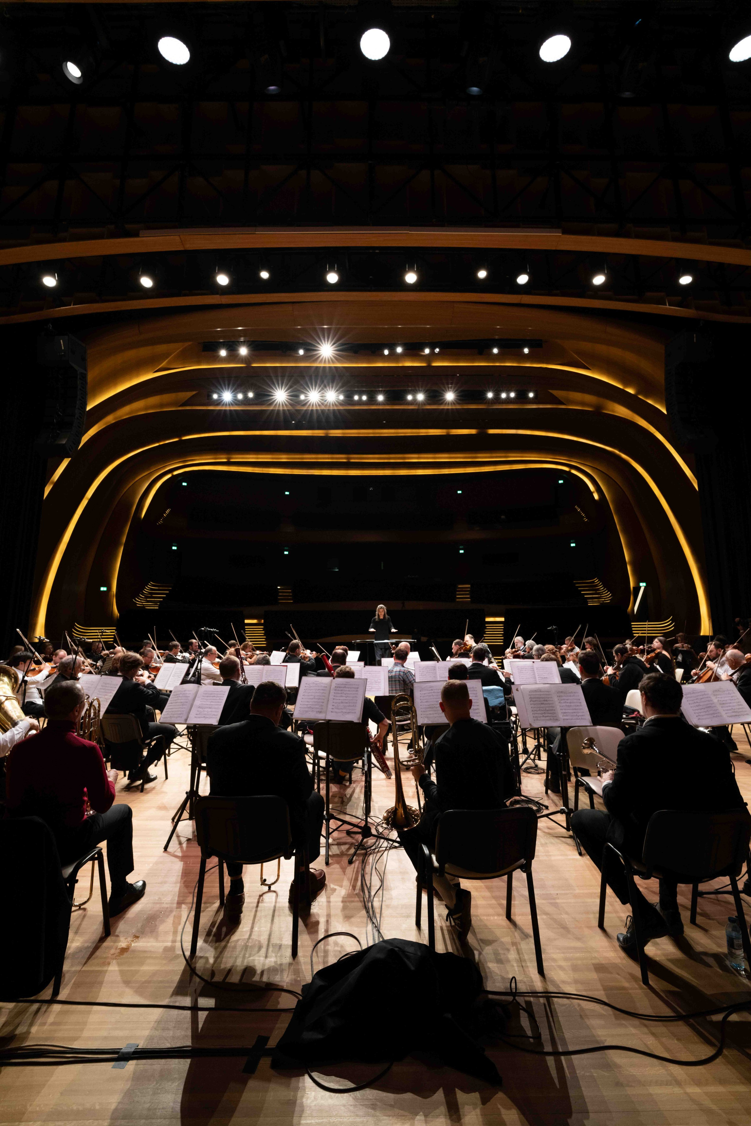 The Tchaikovsky Academic Grand Symphony Orchestra in Baku. Wedding&Event photographer Ismail Rzayev in Baku