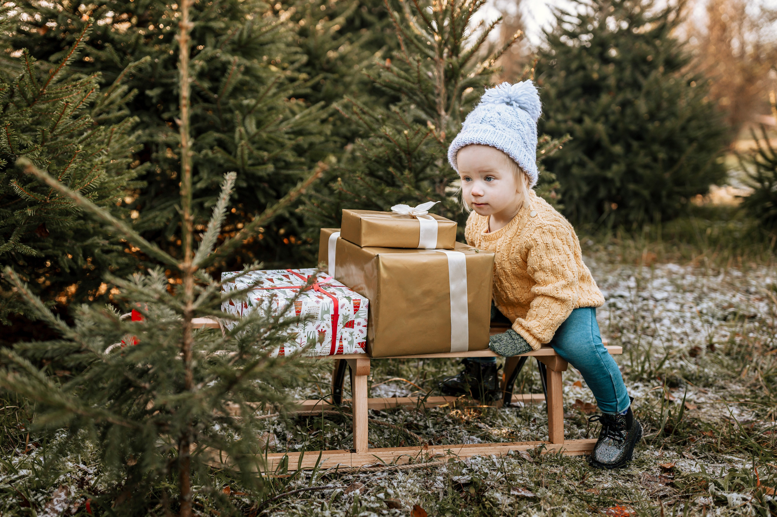 Ziemassvētki eglīšu audzētavā. Home