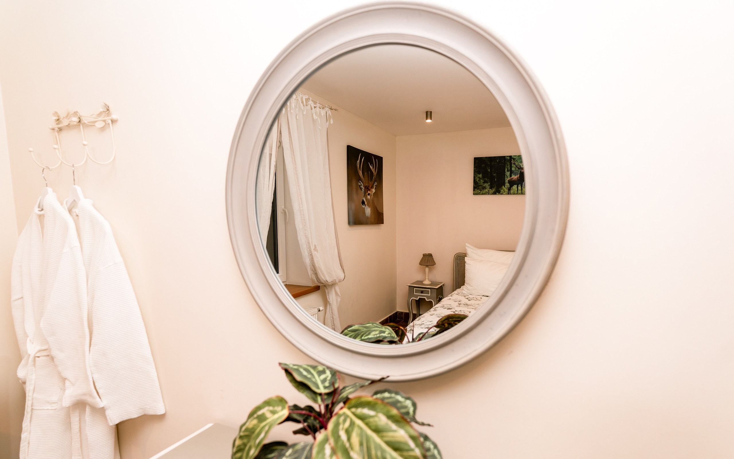 HOTEL / APARTMENTS / SPA. Montenegro photographer and videographer
