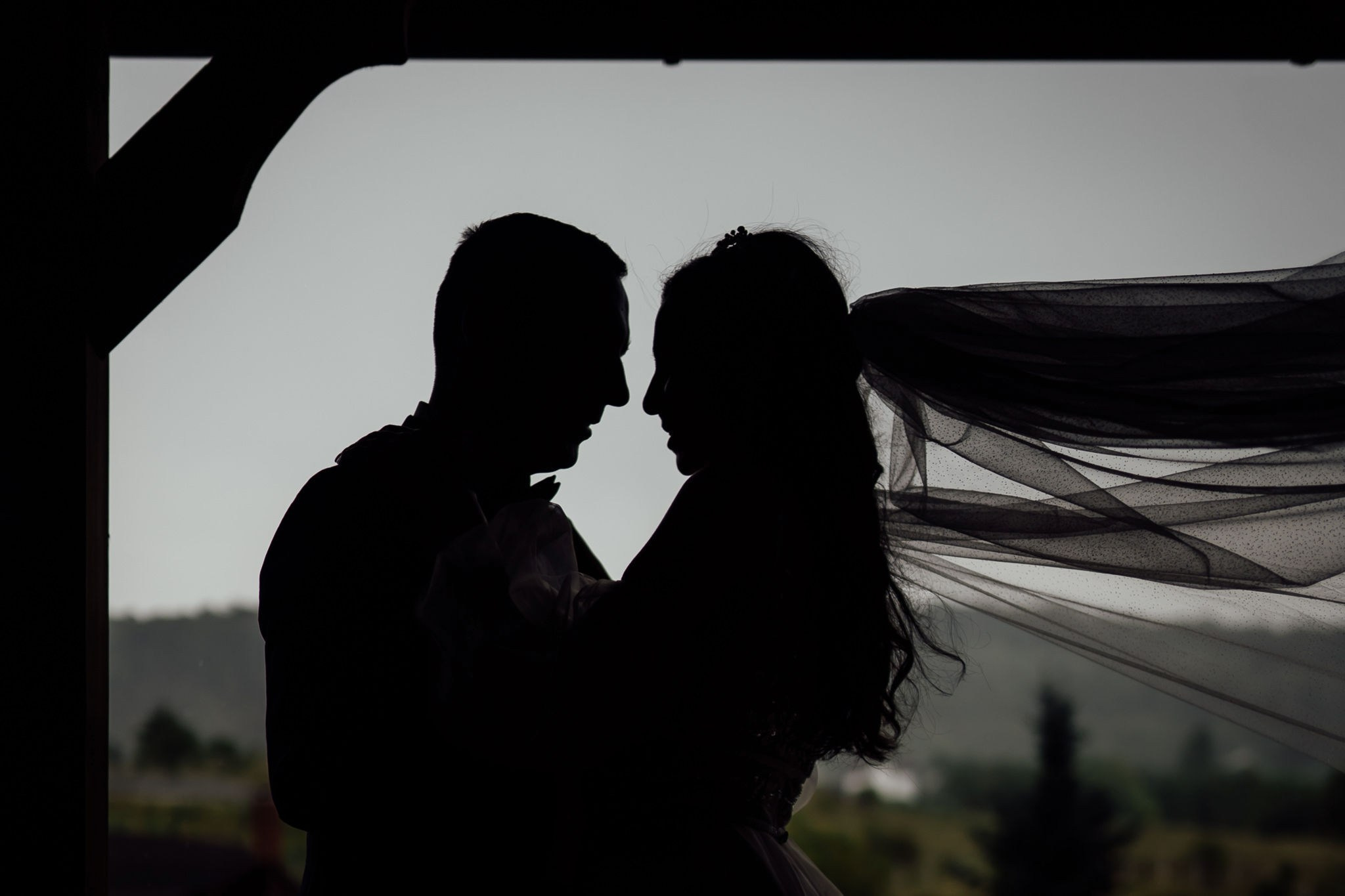 Nunta Alina & Gabriel