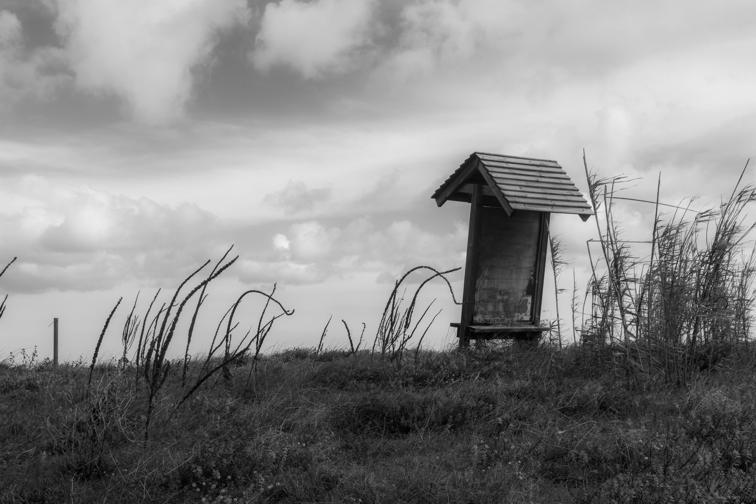Landscape. Portrait and Street photographer in Vilnius Edgar Shaipunas