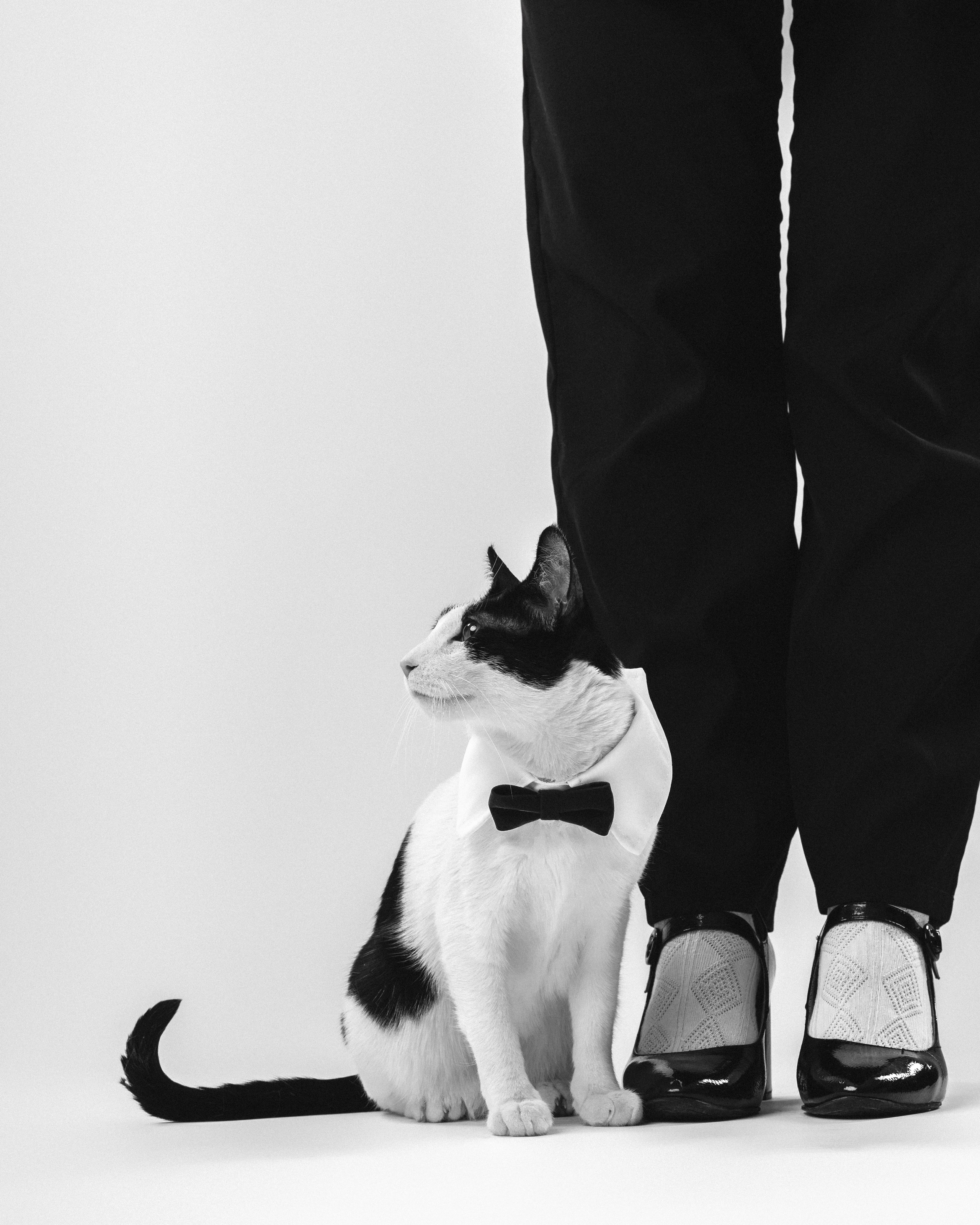 Anastasia & Rocky. MY Photography