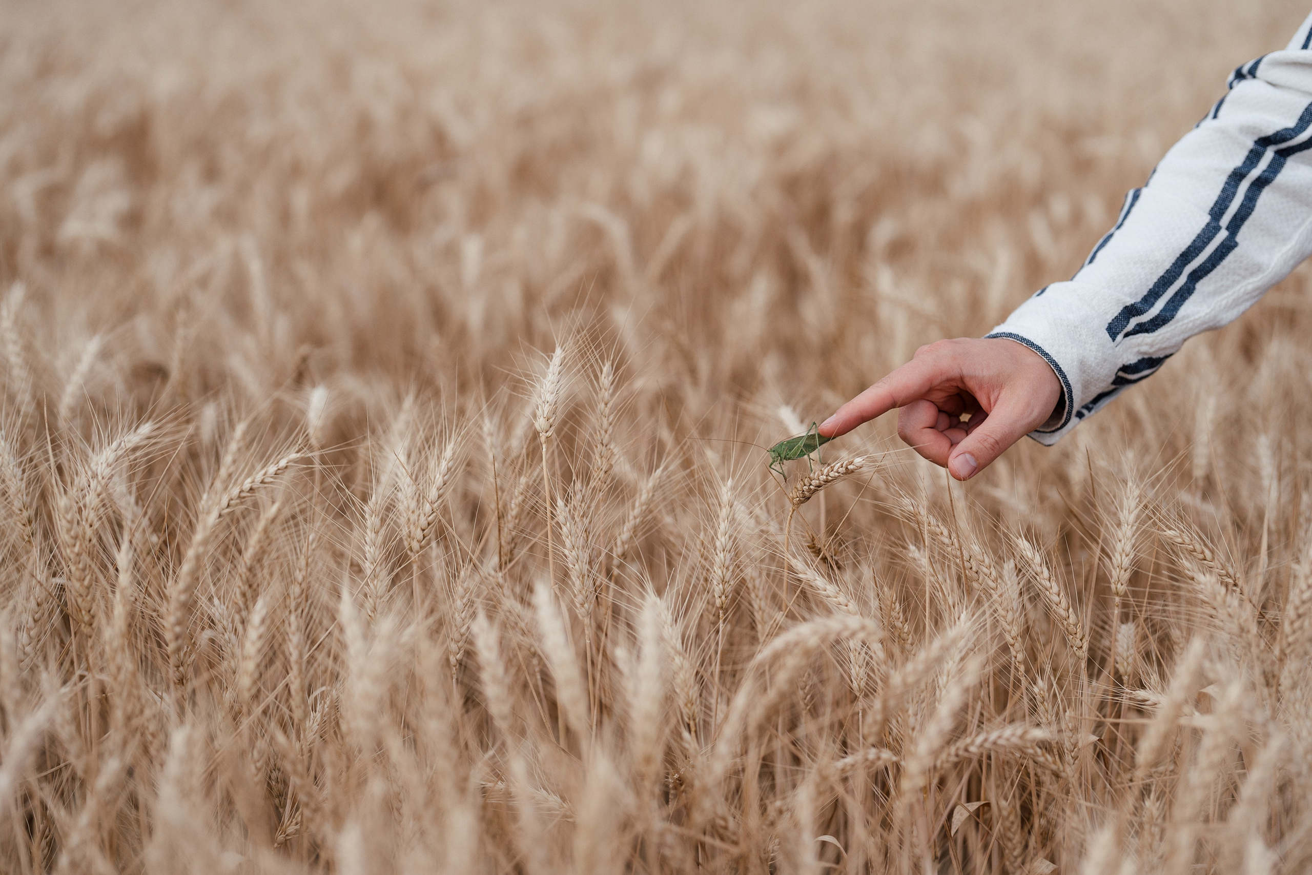 LOVE. Familien, Lifestyle und Portrait Fotografin in Trier, Luxembourg