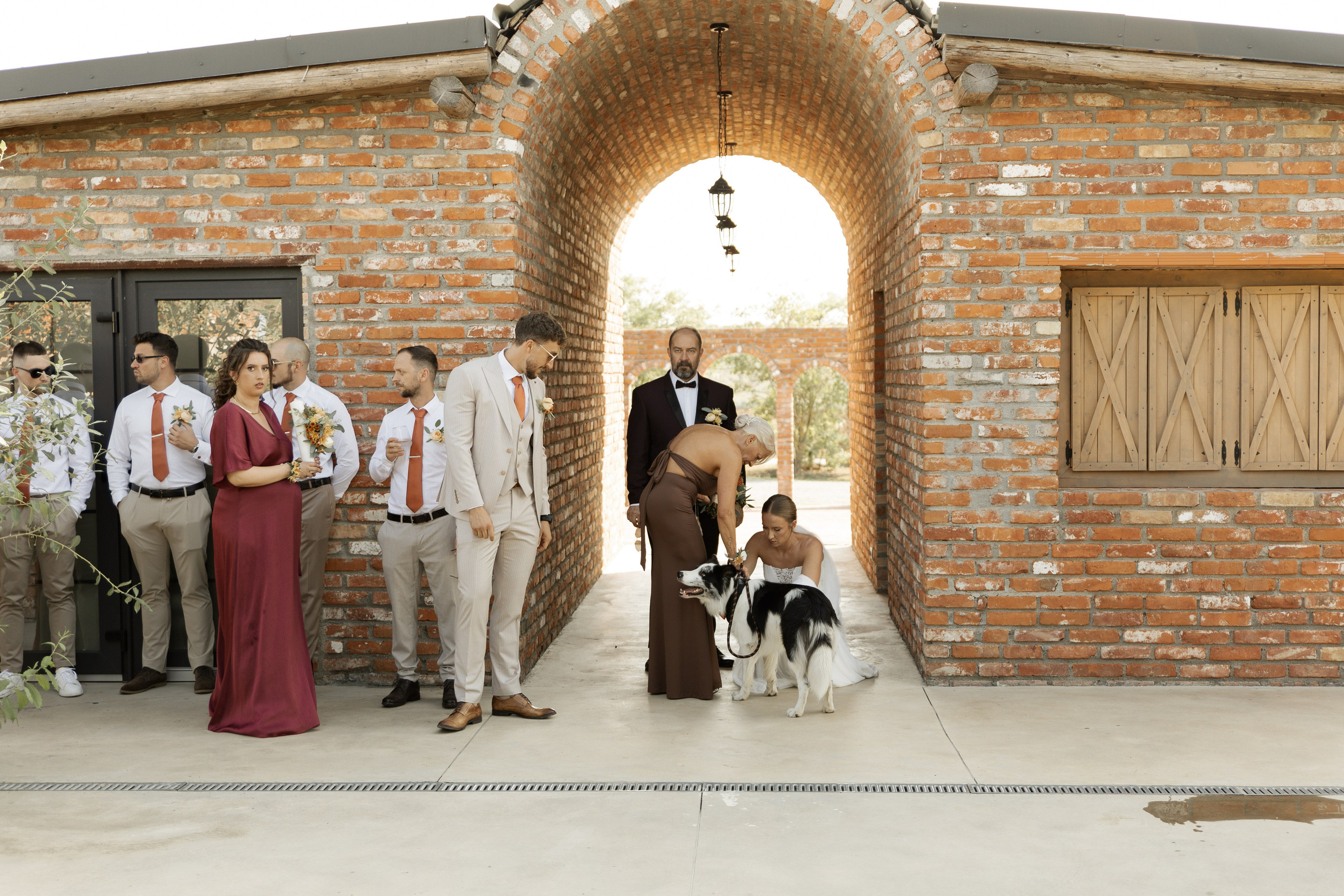 Wedding at Province Timisoara | Cristina & Robert. Wedding photographer and videographer based in Timisoara, Romania