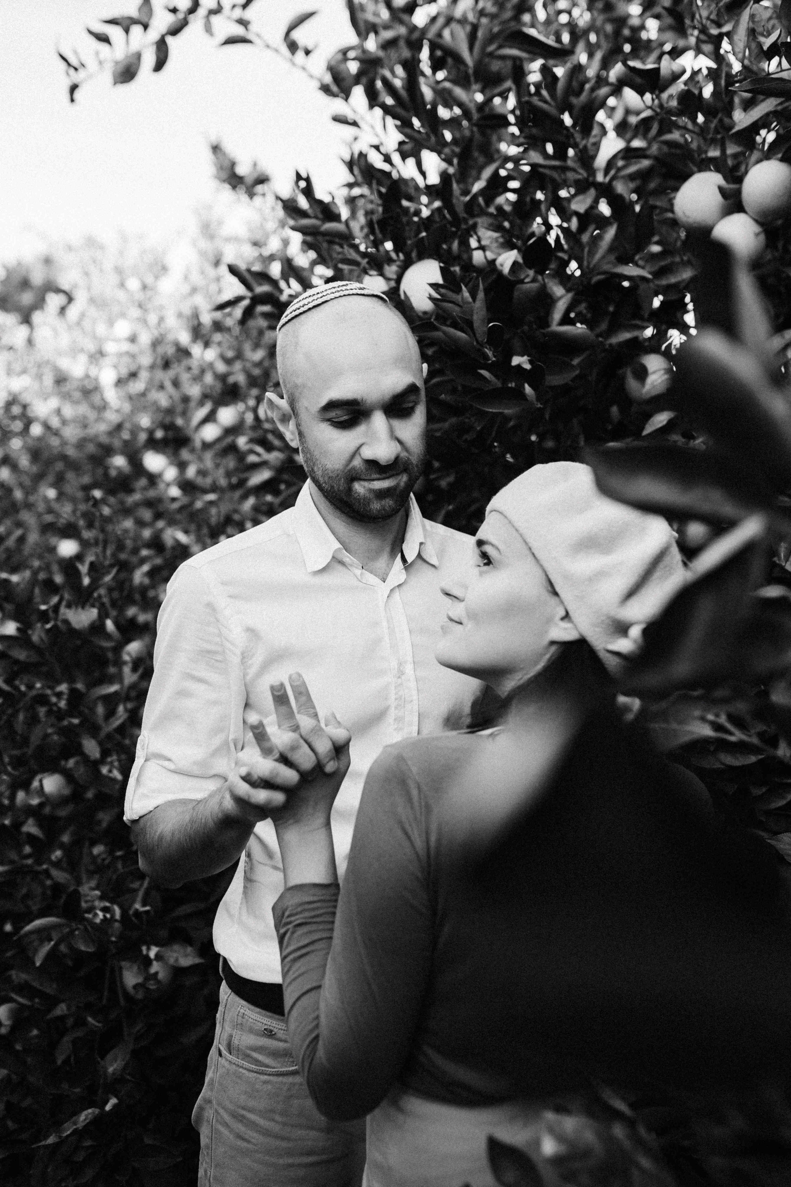 MANDARNINE GARDEN. Https://shi-photo.com/