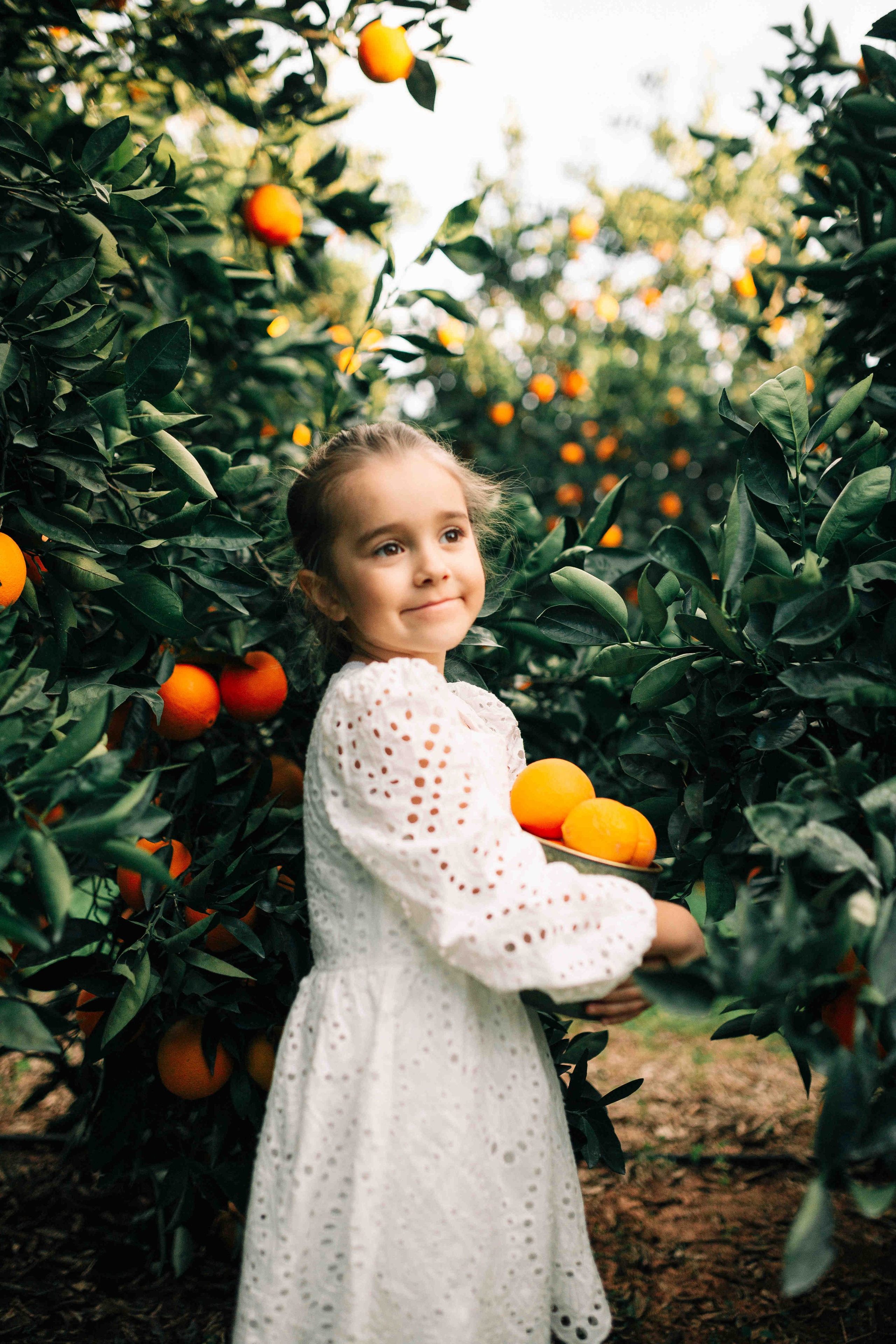 MANDARNINE GARDEN. Https://shi-photo.com/