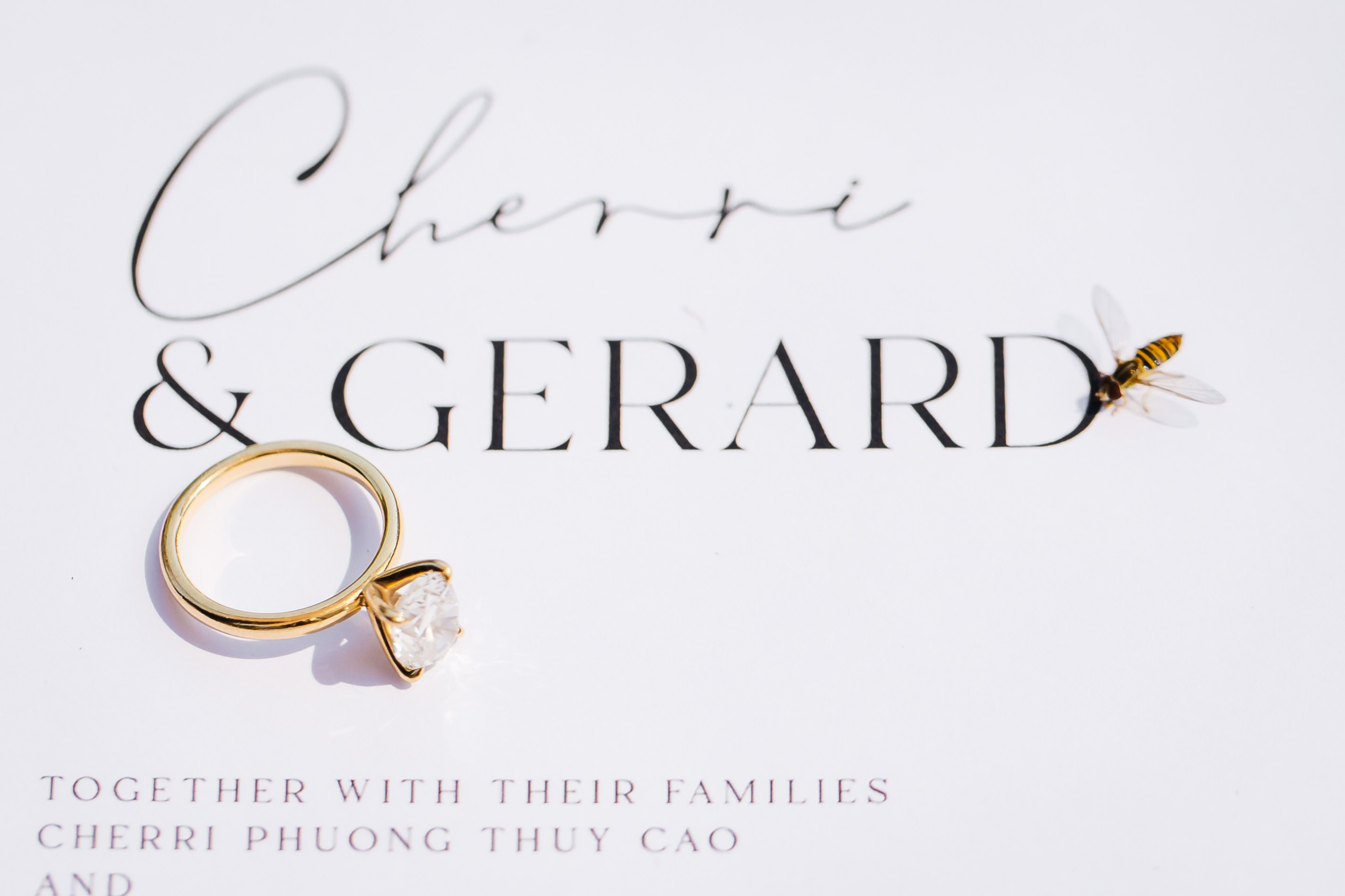 Cherri & Gerard. Wedding Photo & Video