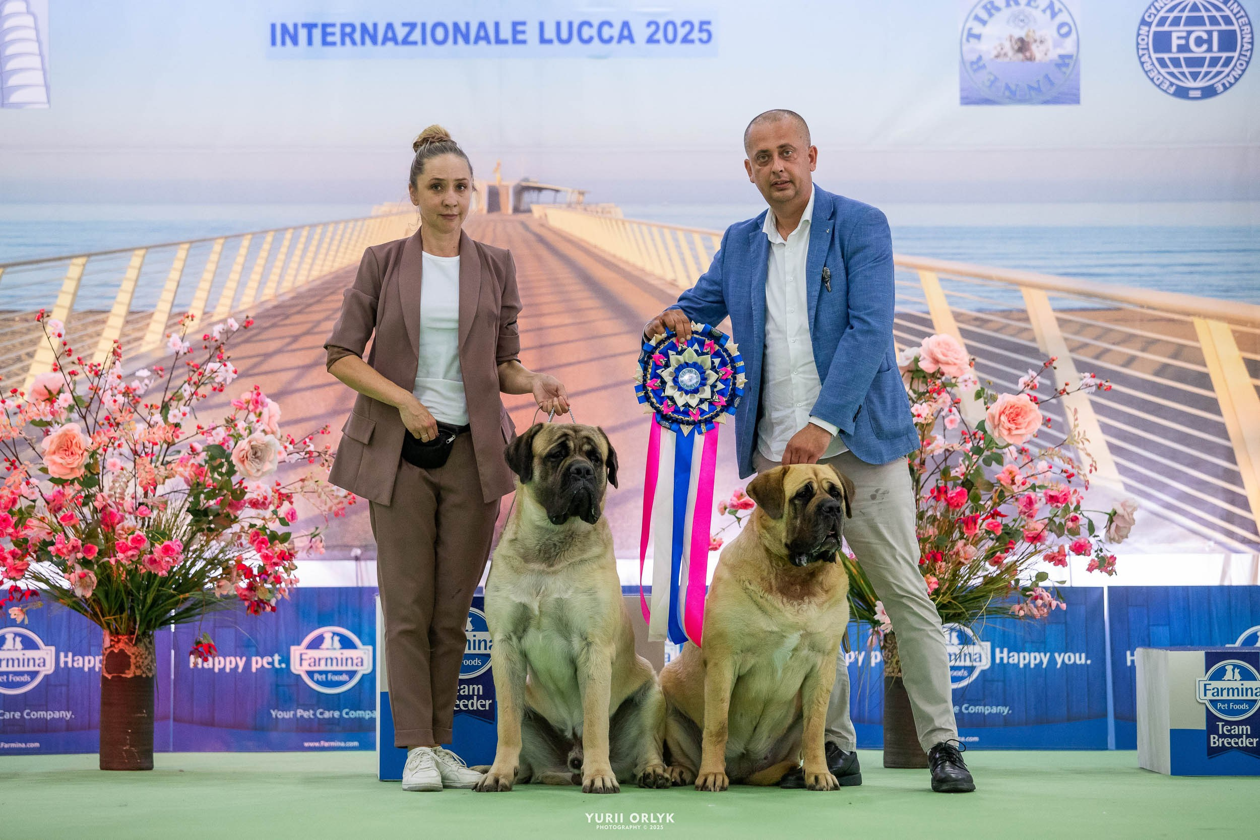 Dog Shows. Yurii Orlyk Photography