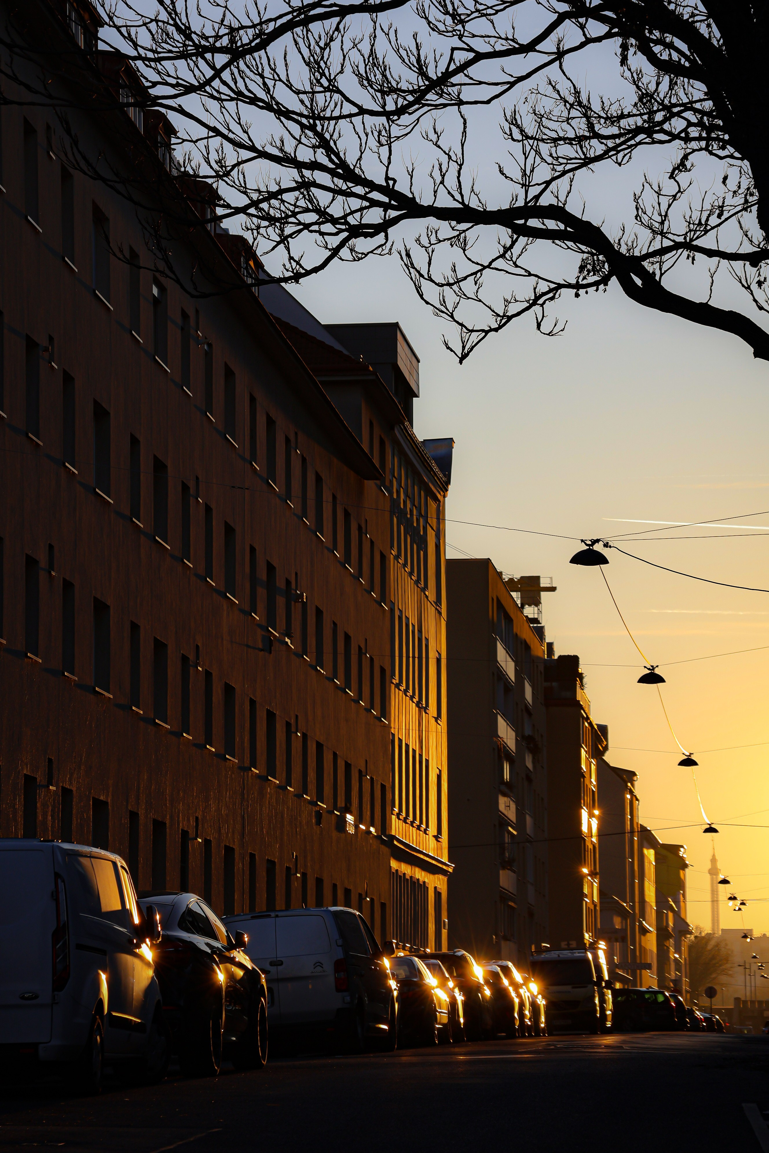 Sunset on a street in Vienna