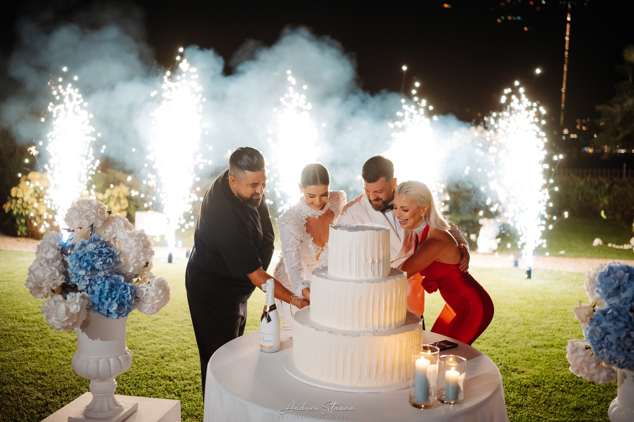 Nicu & Mihaela. Andrei Stanea