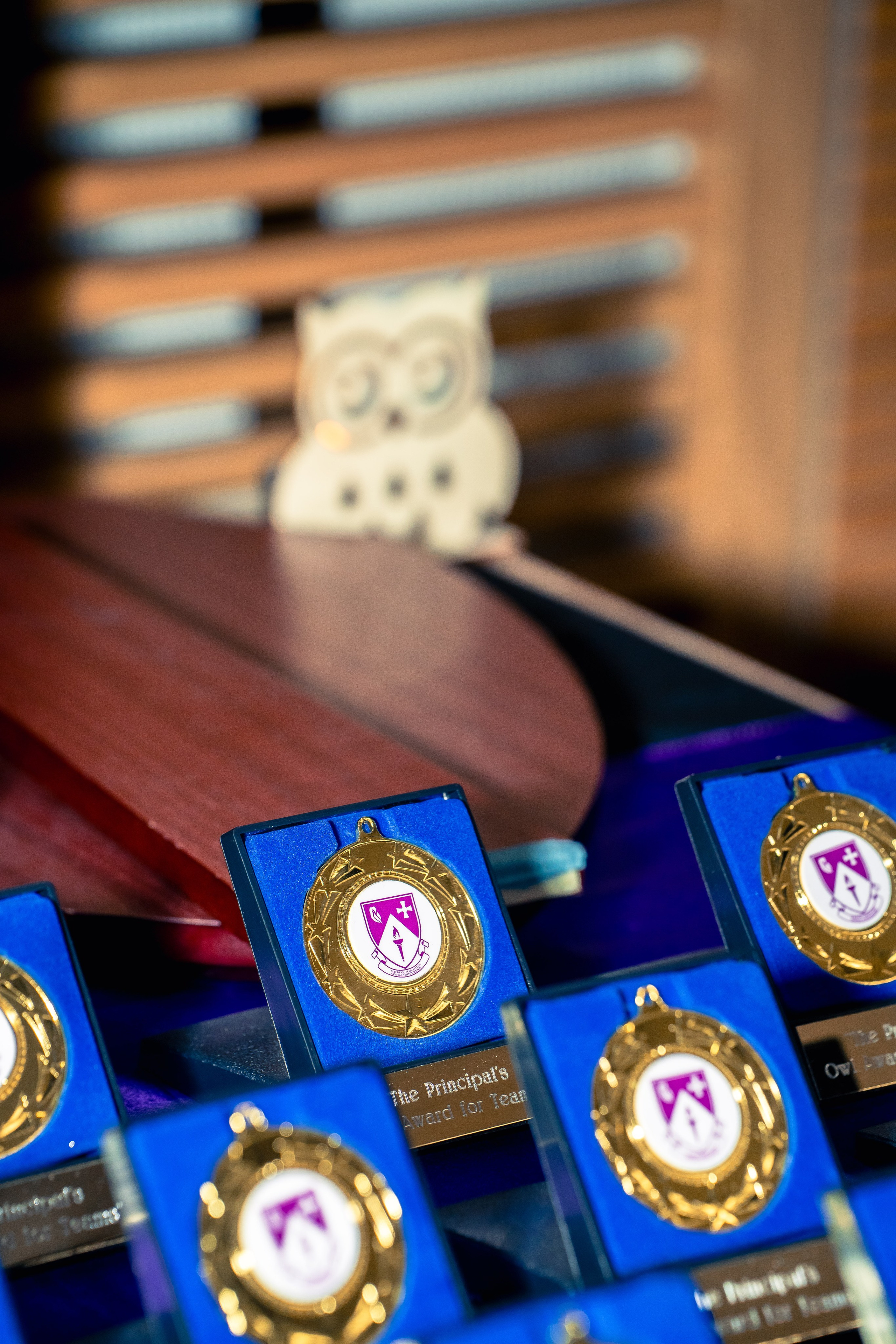 The Owl Society. Expect Miracles Photography