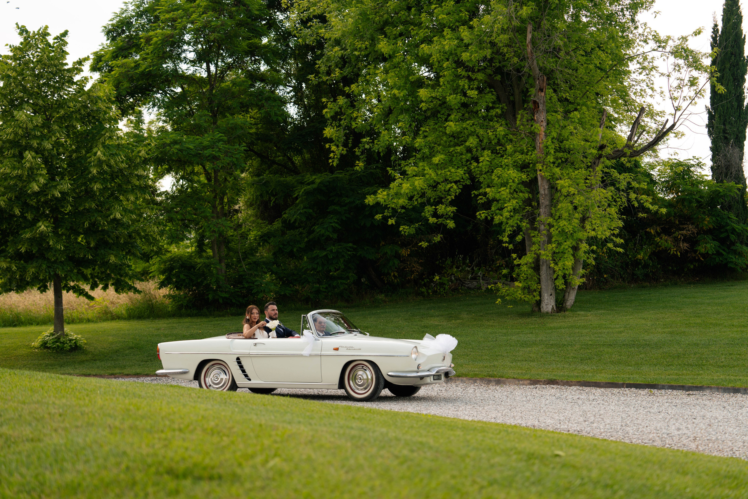 Cosmin & Georgiana. Studio Timis