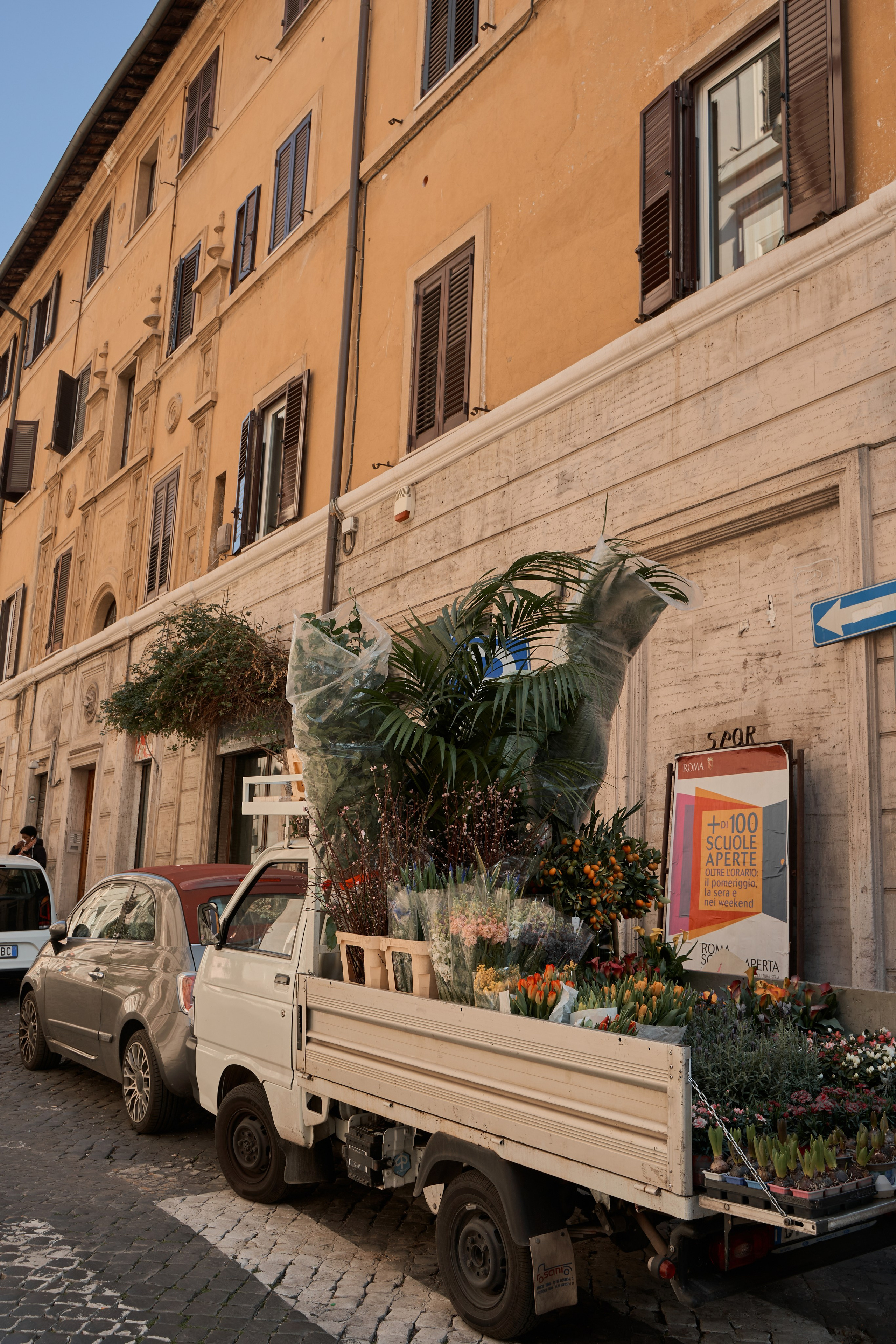 Моими глазами. Salut!