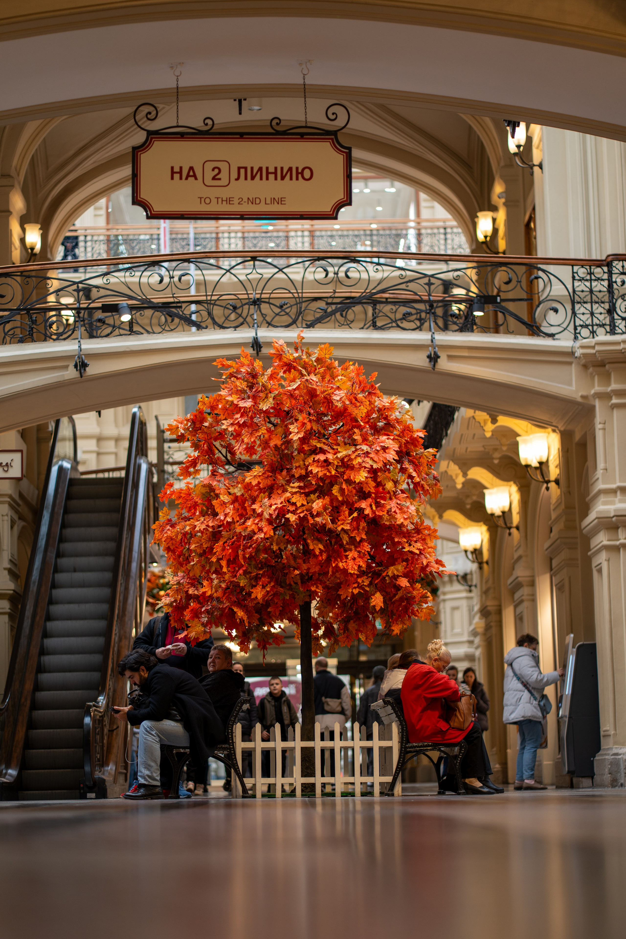 Street. So1ryn | Visuals & Beyond