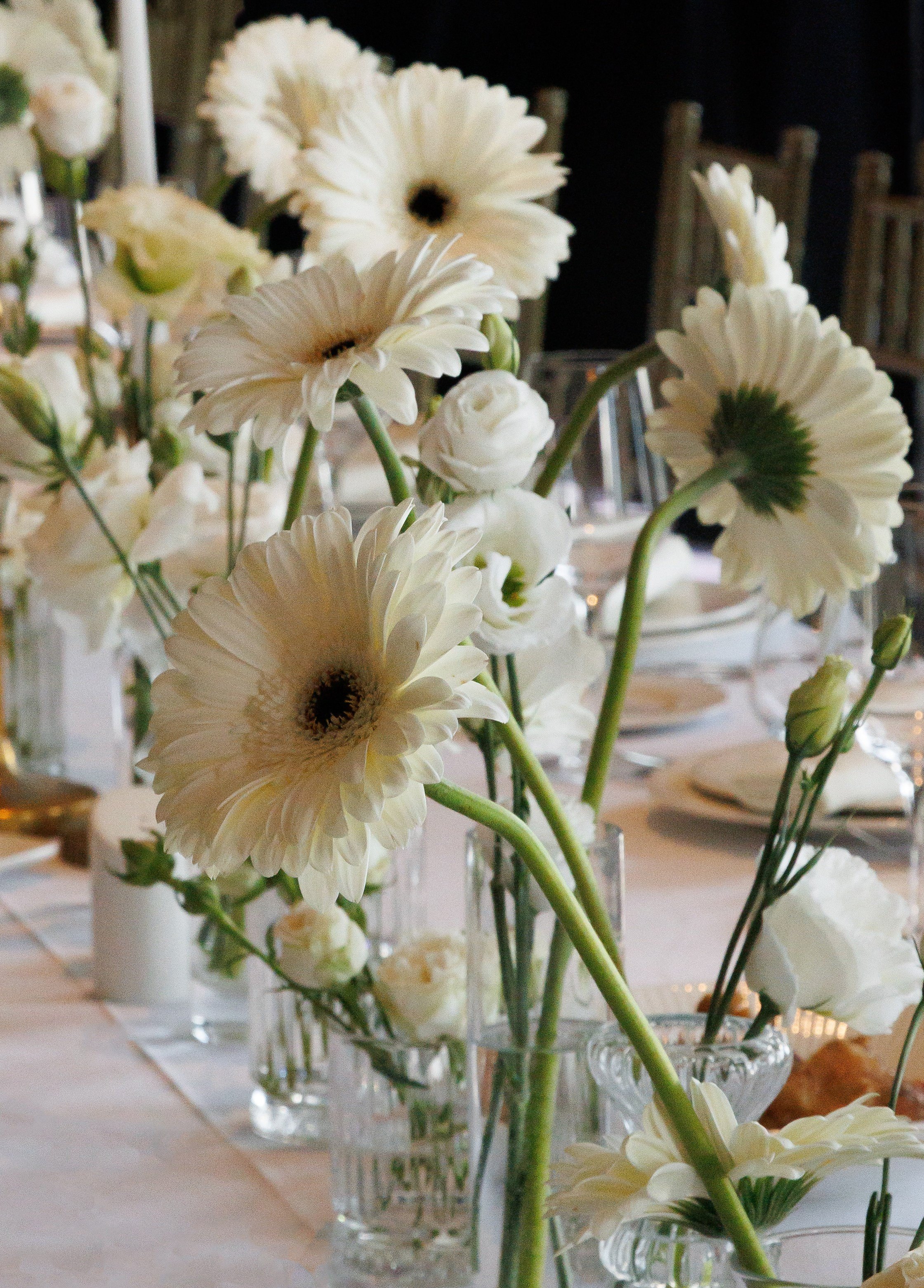 Сборы+прогулка+церемония+фуршет. Wedding photographer Batumi Tbilisi Georgia