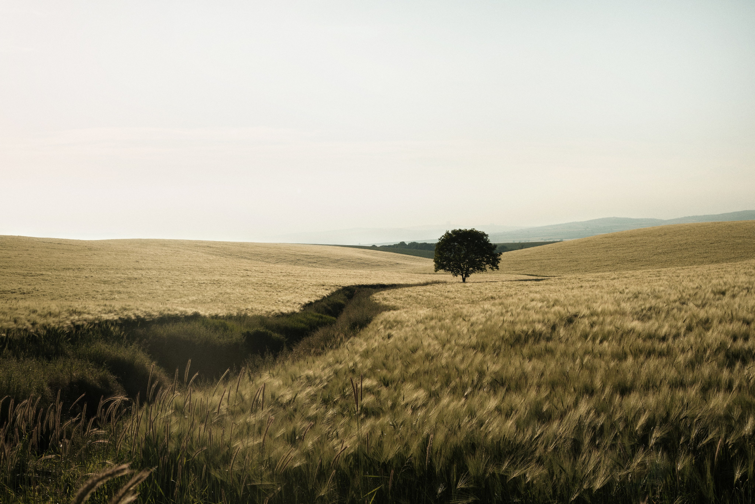 STREET PHOTOGRAPHY. Fuad Shafiyev