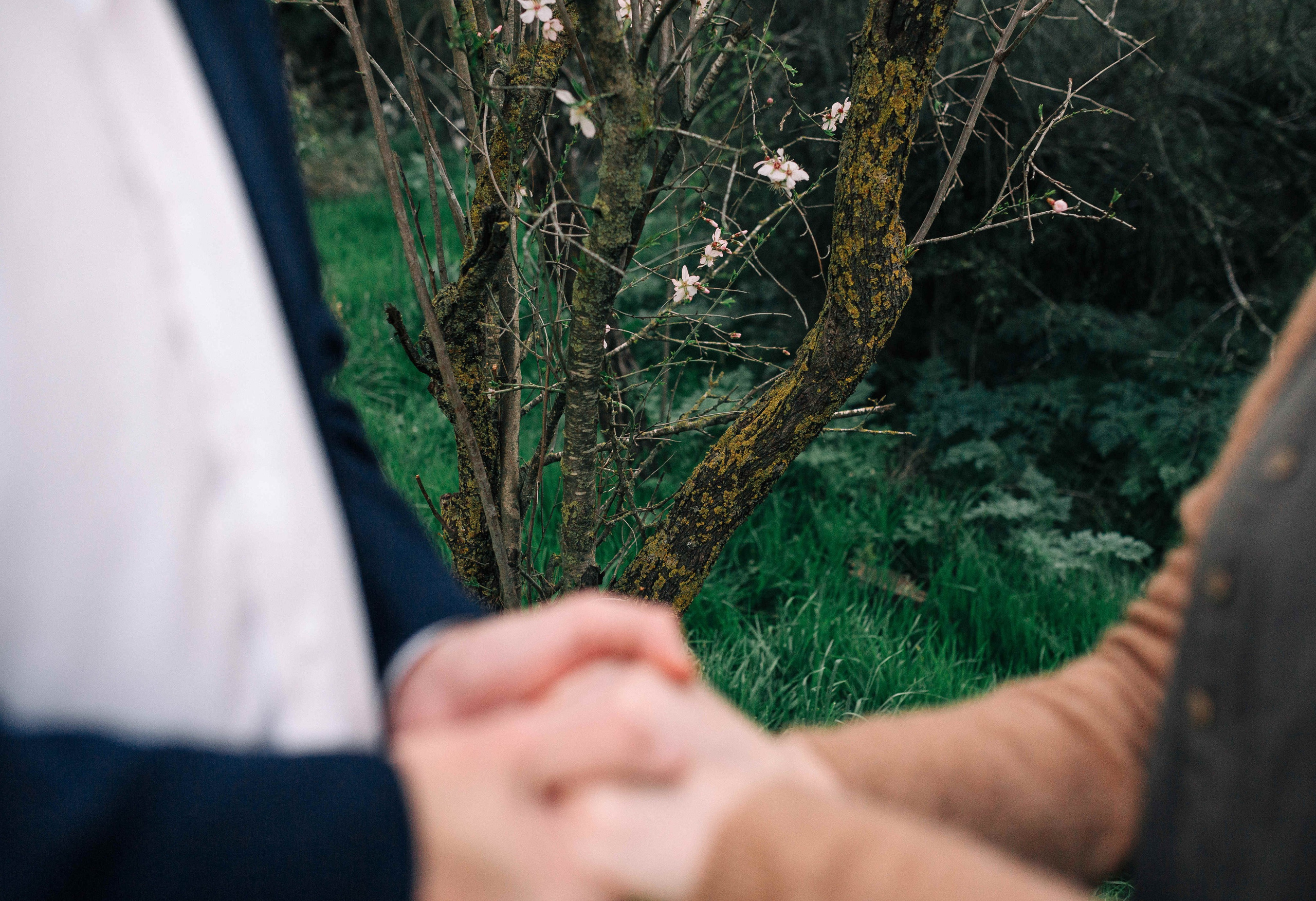 END OF WINTER. Https://shi-photo.com/