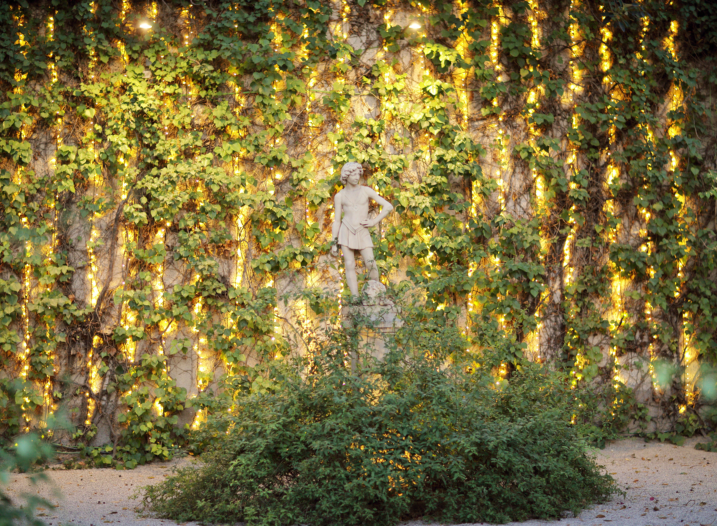 Spain. Luxury wedding, portrait, family photographer over Europe