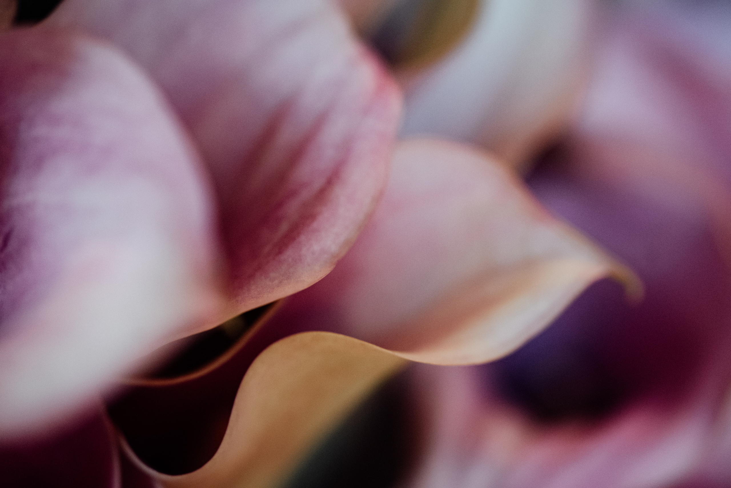 Limekiln, East Sussex, UK. 2025. Timeless Wedding & Event Photography — based London, working across Europe