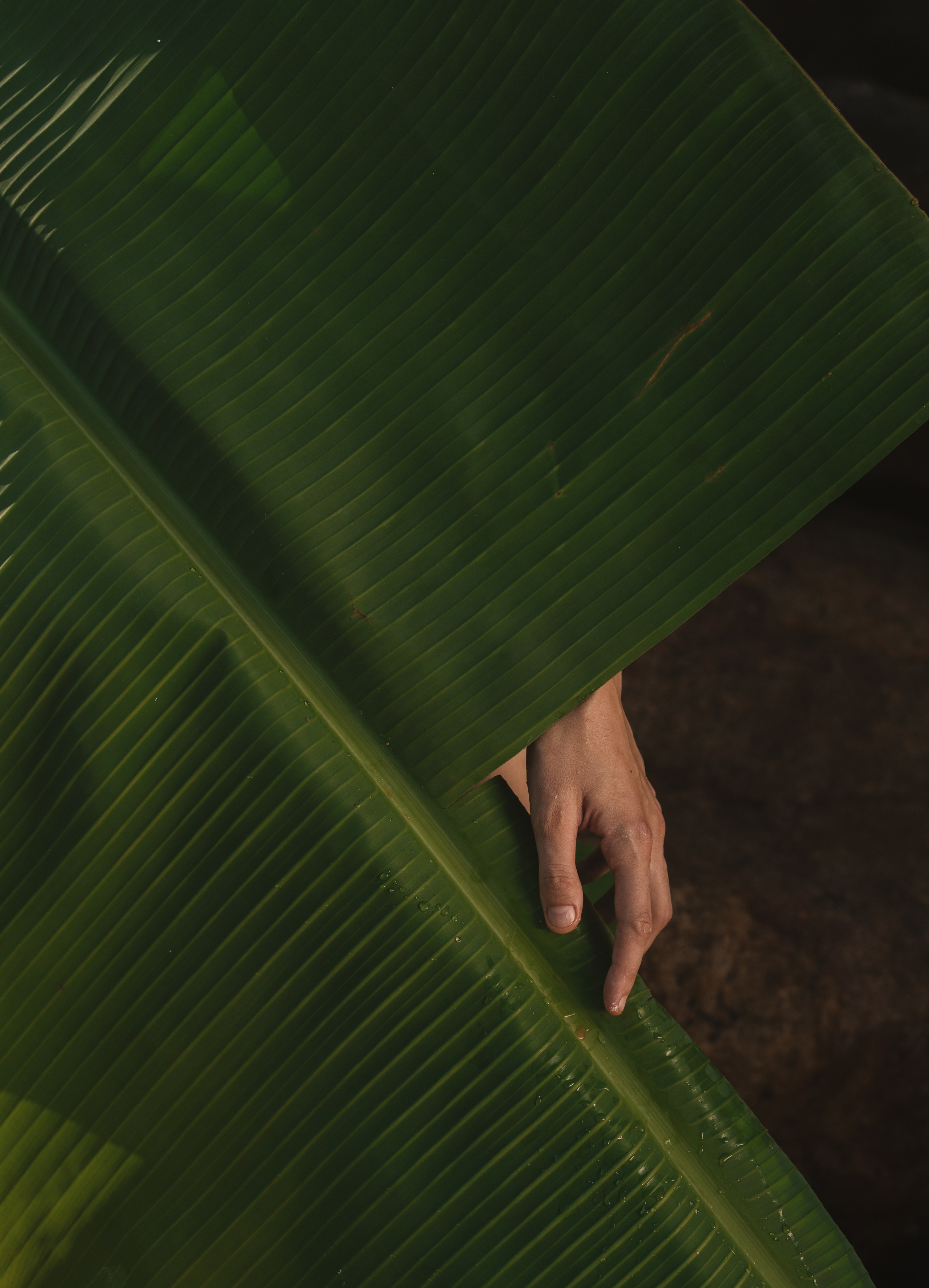 Nude. Photographer and videographer for business in Tbilisi Catrine Poznyak