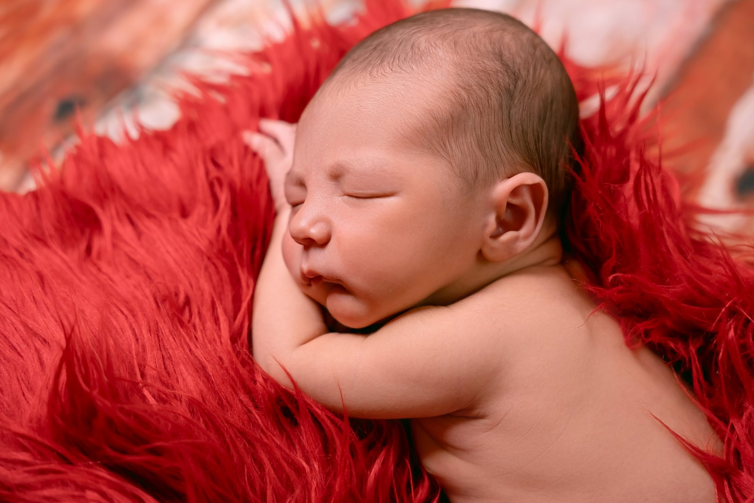 Gael — 30/12/2023. Luiz Medeiros Produções