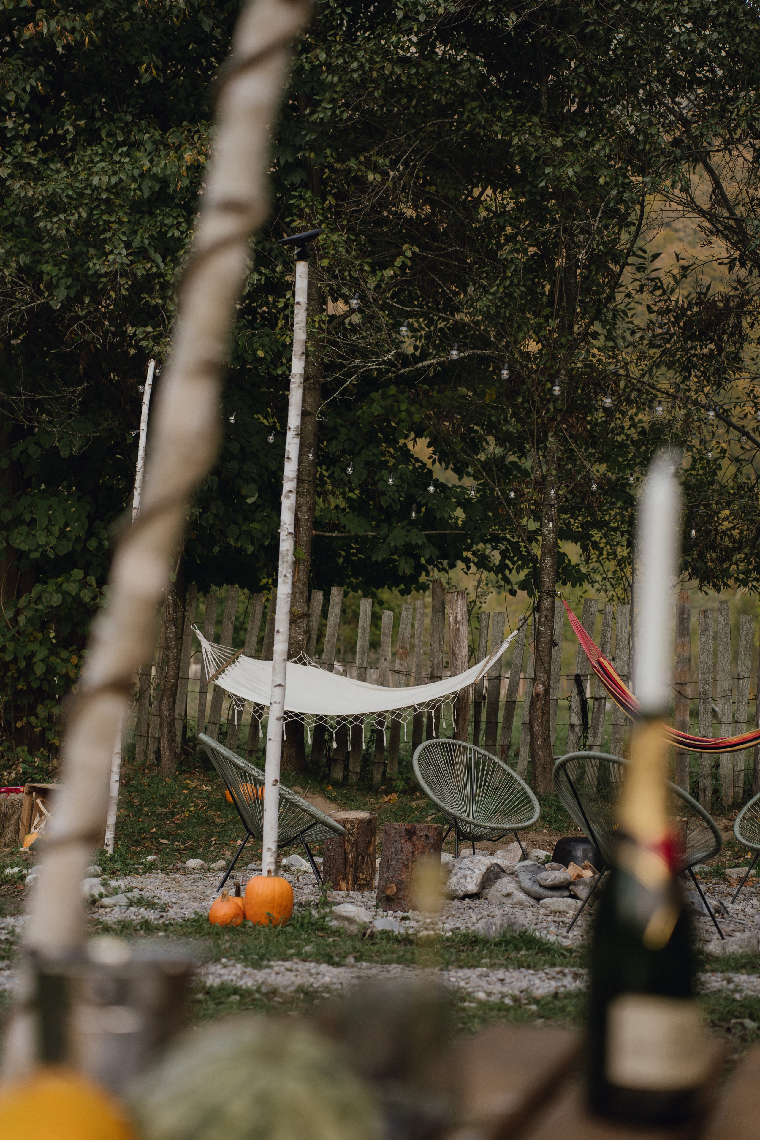 Airbnb. Patricia Morenci — Mountain Adventures for the Wild at Heart