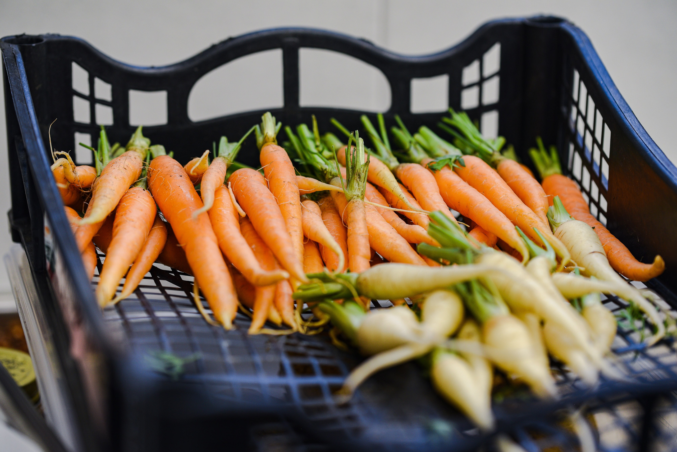 Nepomuk. Familienfotografin aus Sterzing Elena Muehlsteiger