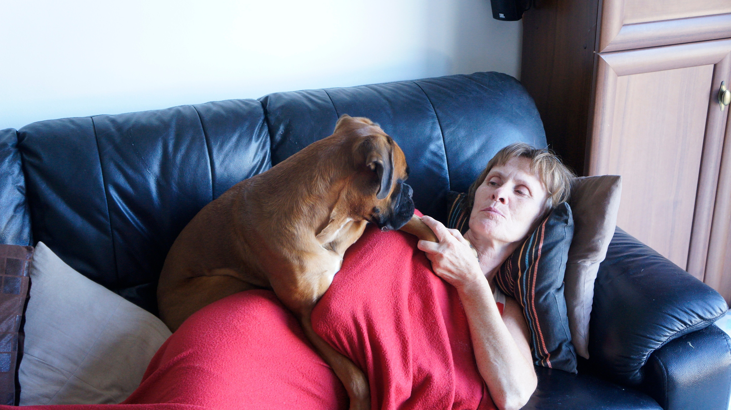 My ״Star״ Boxer Dog