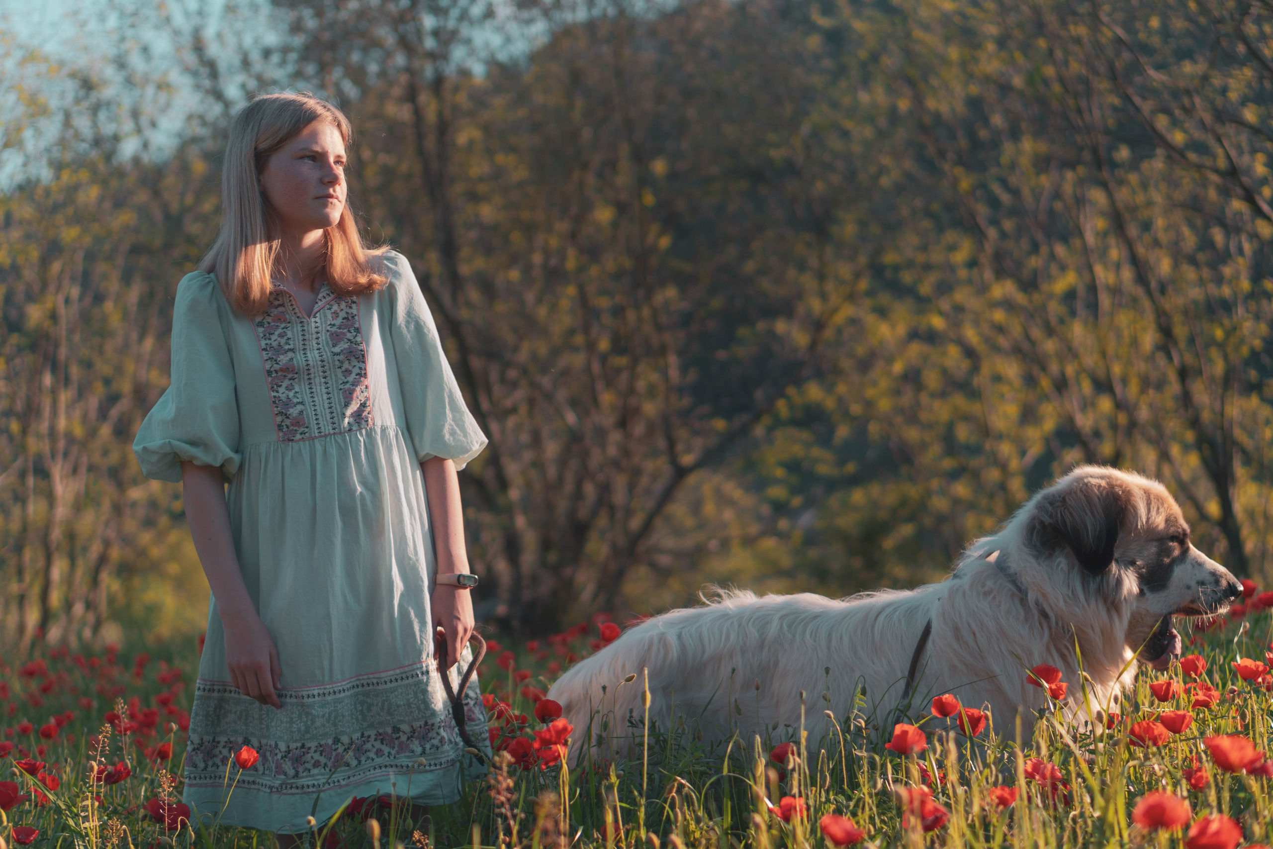 Agnia & Amapolas. Alba del Norte Studio