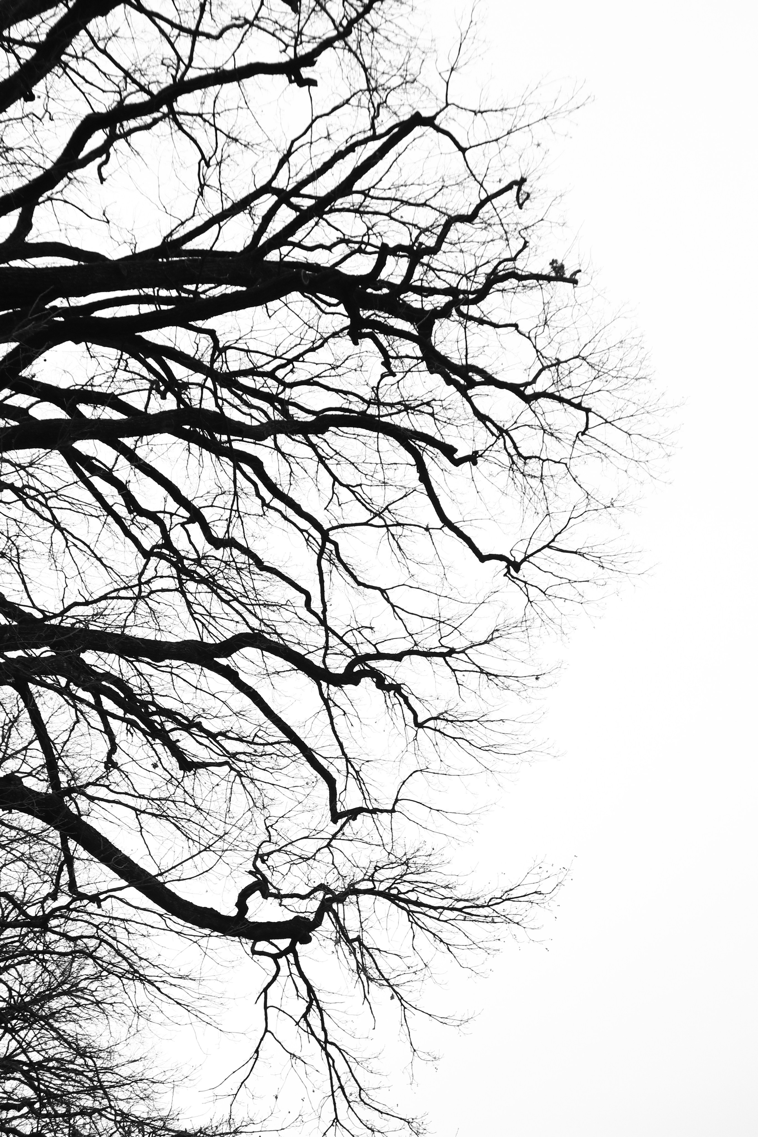 Natur und Stadt. Marina, Fotograf aus Nürnberg