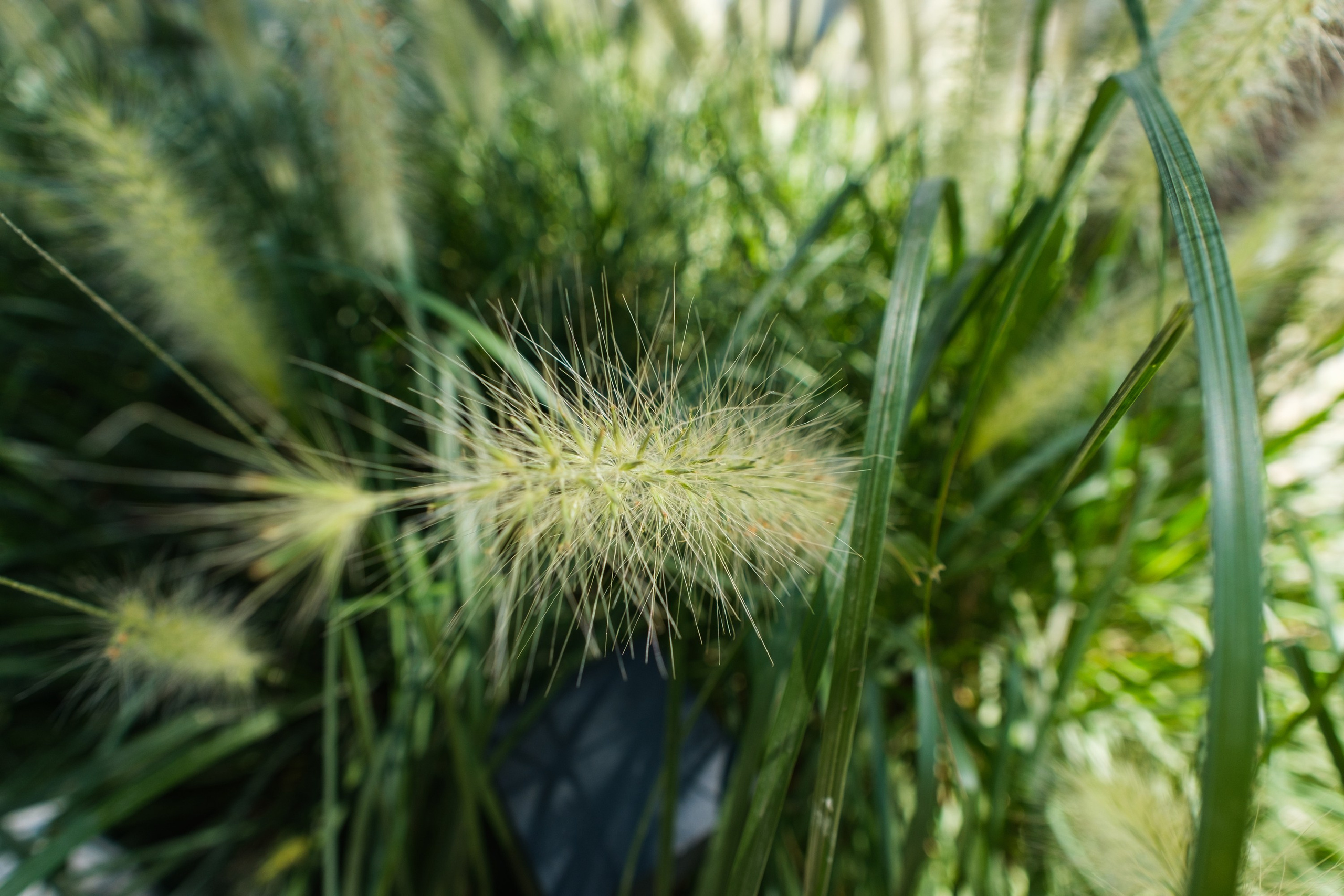 Sigma 12 mm F/1.4 DC DN Contemporary. Фотограф Григорий Кравец