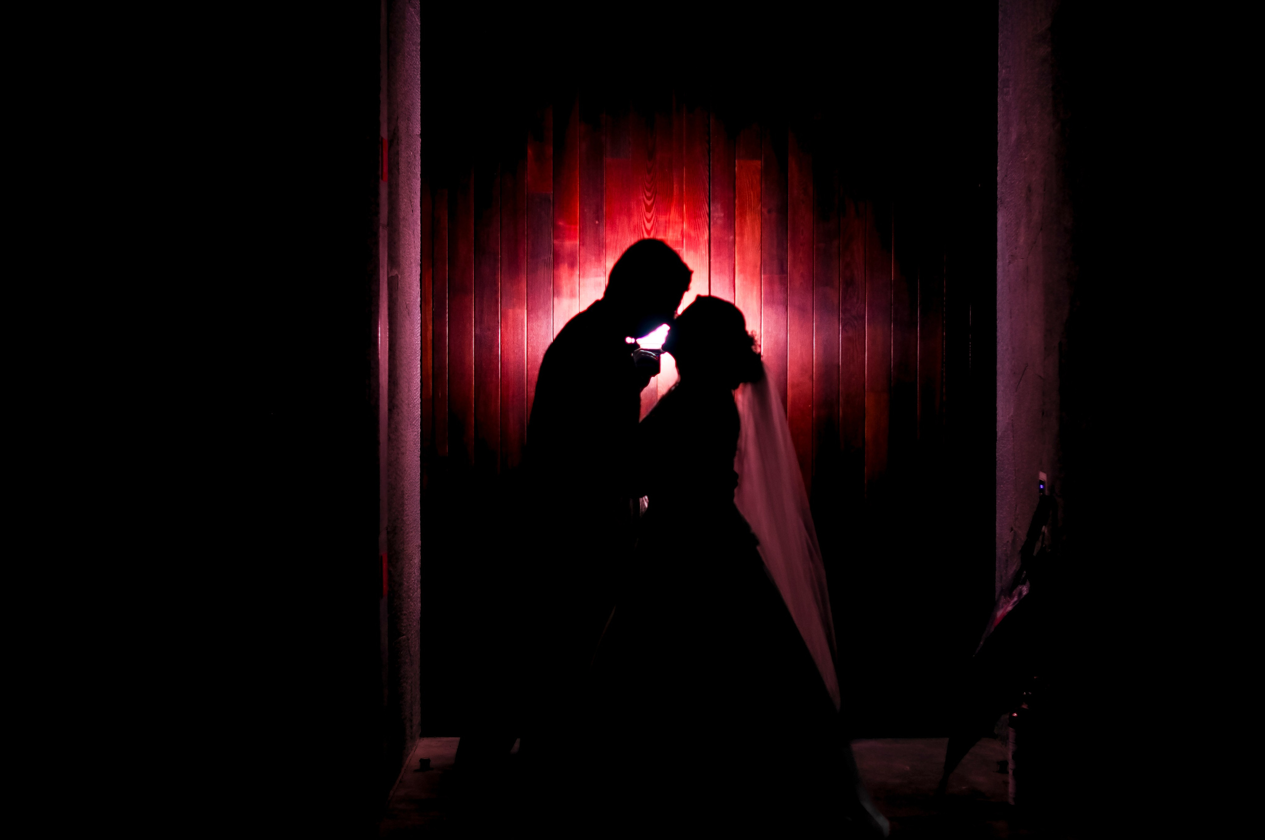 Vane y Sherwin. Wedding and family photographer in Mexico City