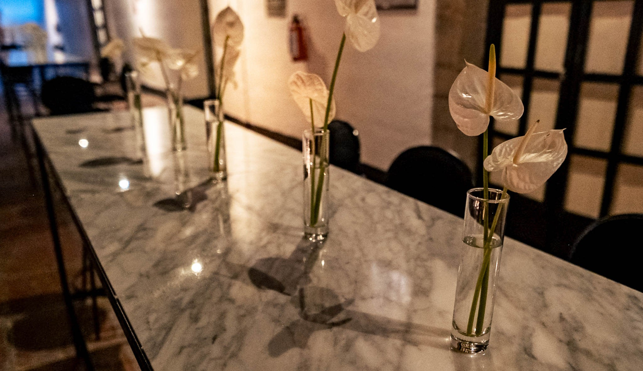 Aagya & Kishore. Wedding and family photographer in Mexico City