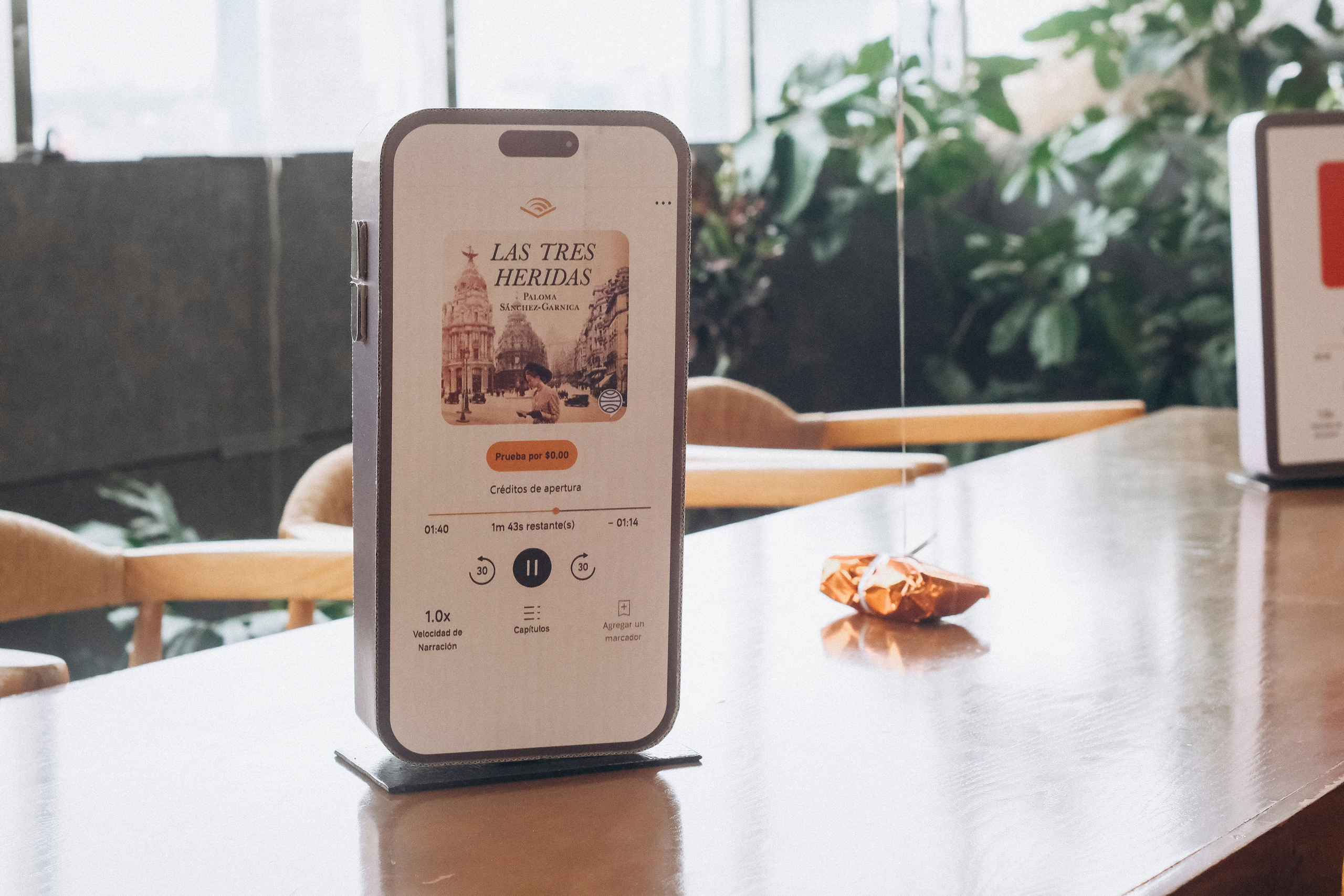 Audible. Wedding and family photographer in Mexico City