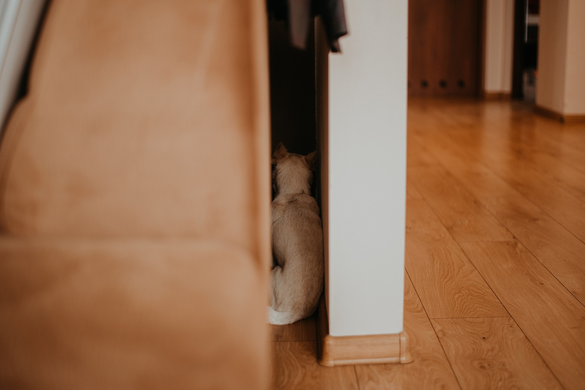 Wiktoria i Mateusz | mój pierwszy reportaż. Dominika Strachacka Fotografia | Fotograf ślubny i rodzinny Opole Lubelskie Lublin