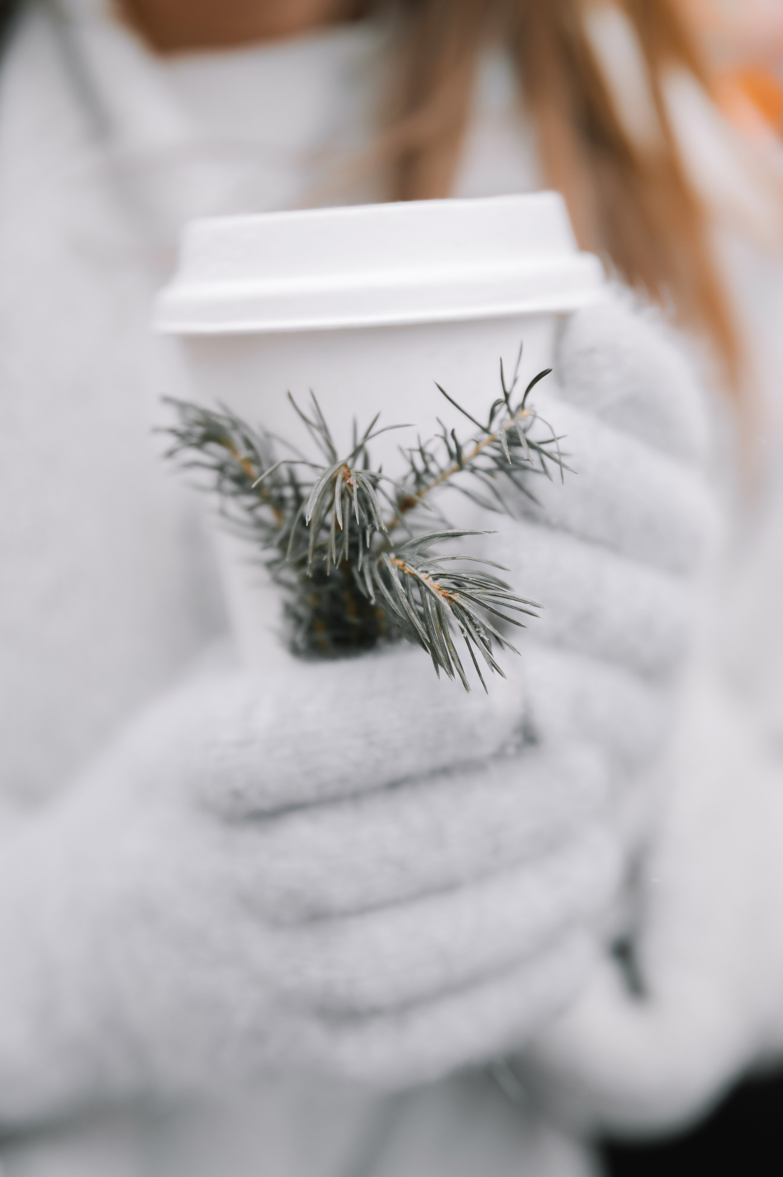 Christmas Photo Day 2024. Fotograf w Krakowie/Europie Weronika Stoma