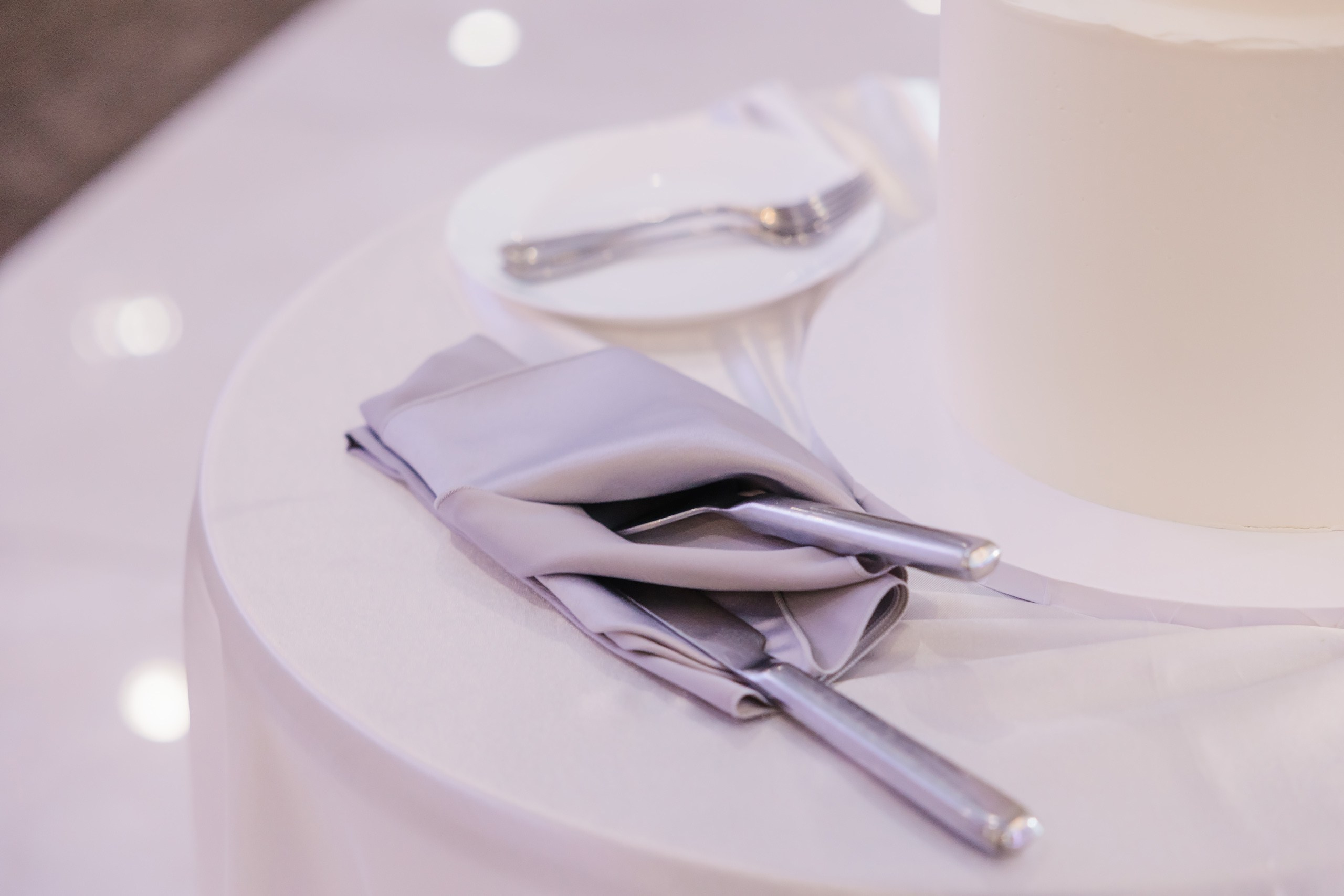 31.08.2024 Wedding. Wedding family event photographer in Chicago Nick Yushevich