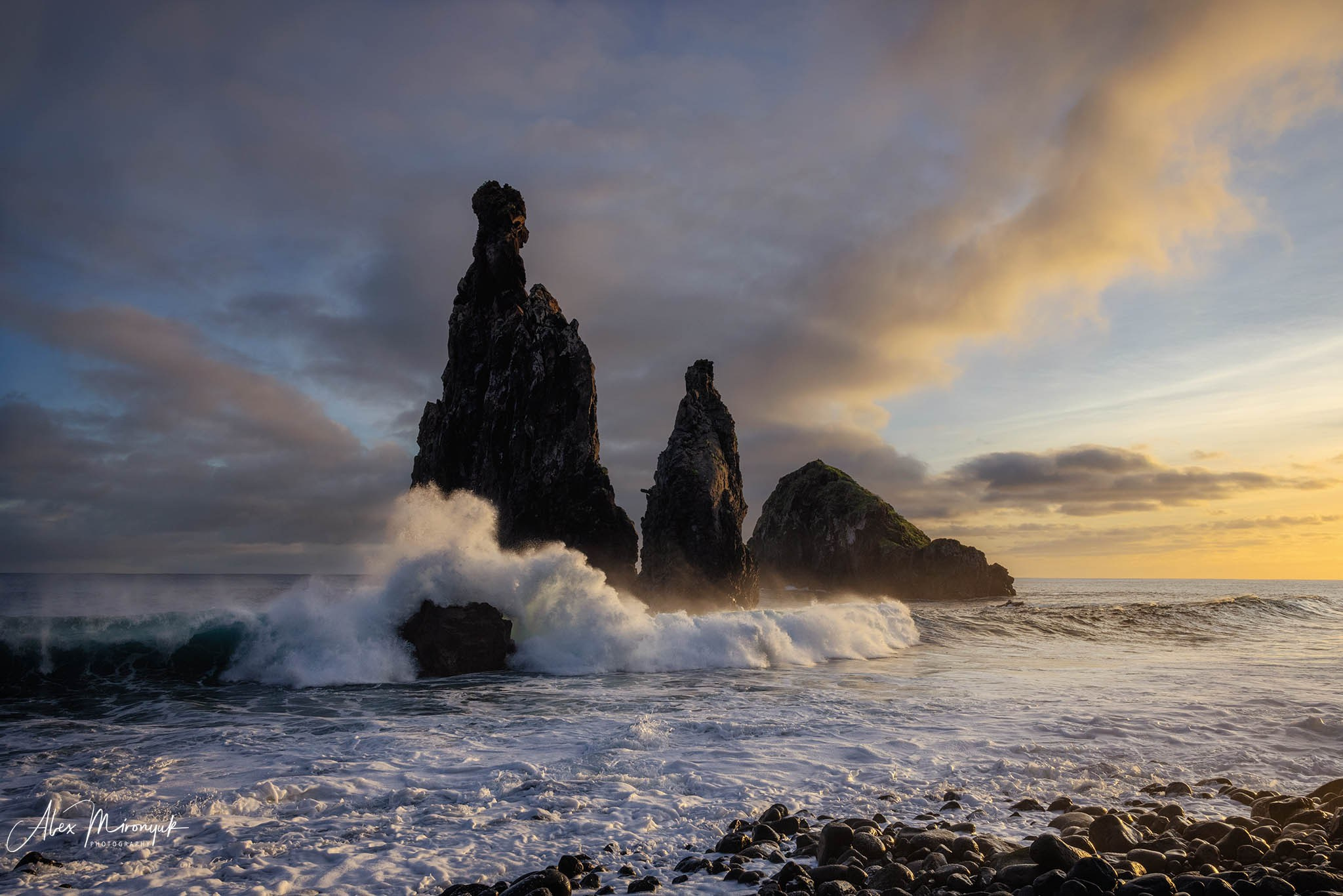 Madeira And Azores. Pet, Senior, Landscape, portrait studio, photographer in Miami and Sou