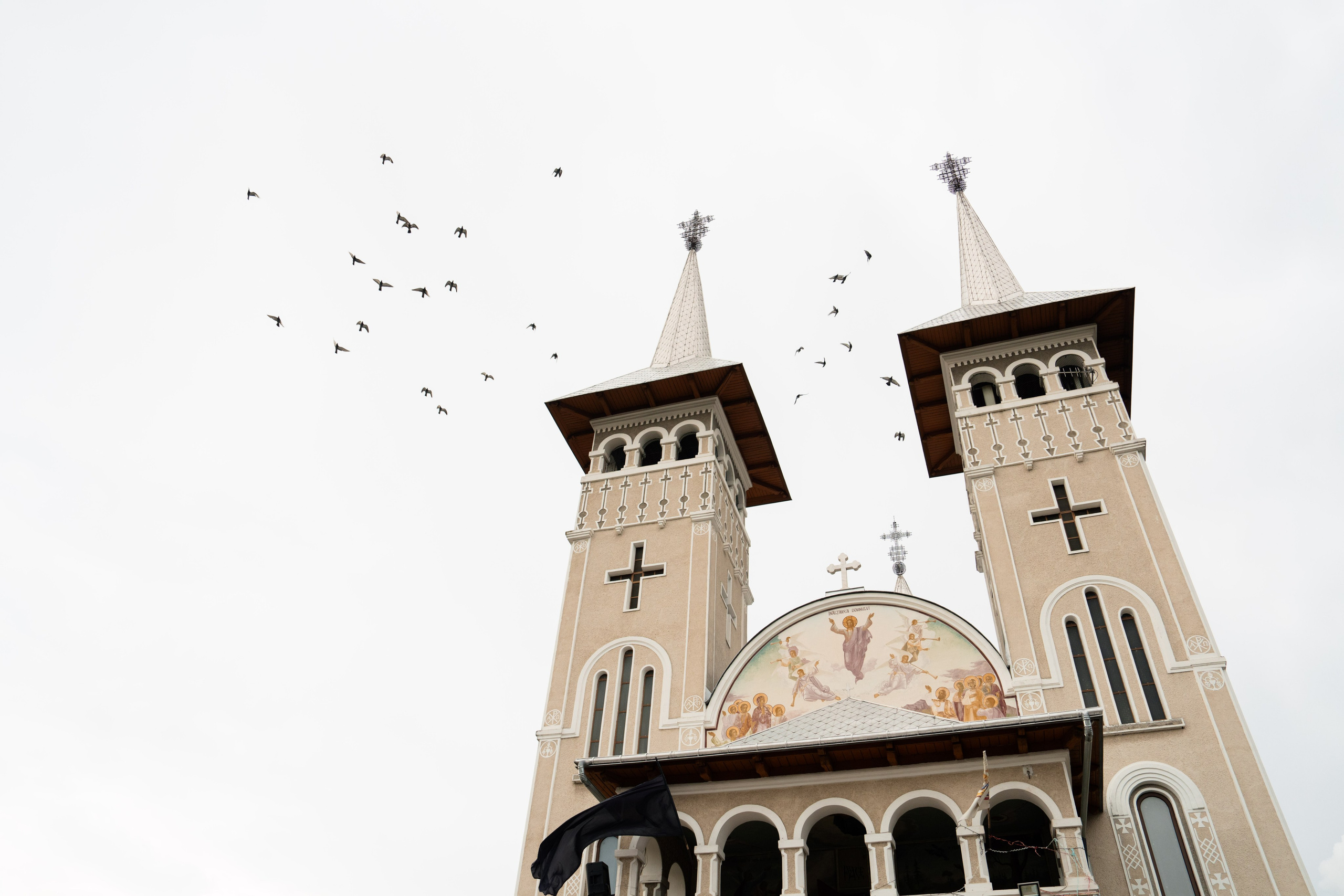 Cosmin & Anamaria. Studio Timis