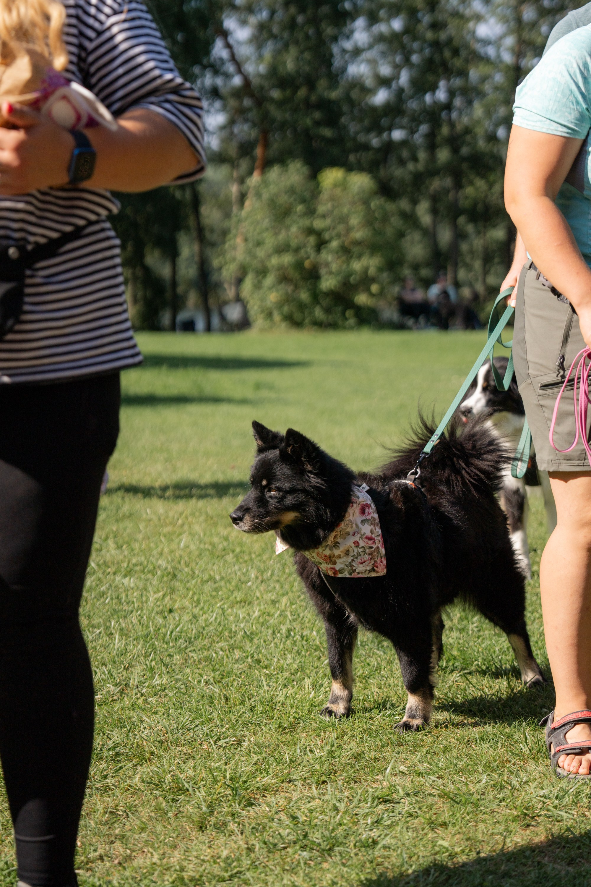 Heppi Dogo fest 2025. Vita Klimaševska ○ Fluffy Soulmate Photography