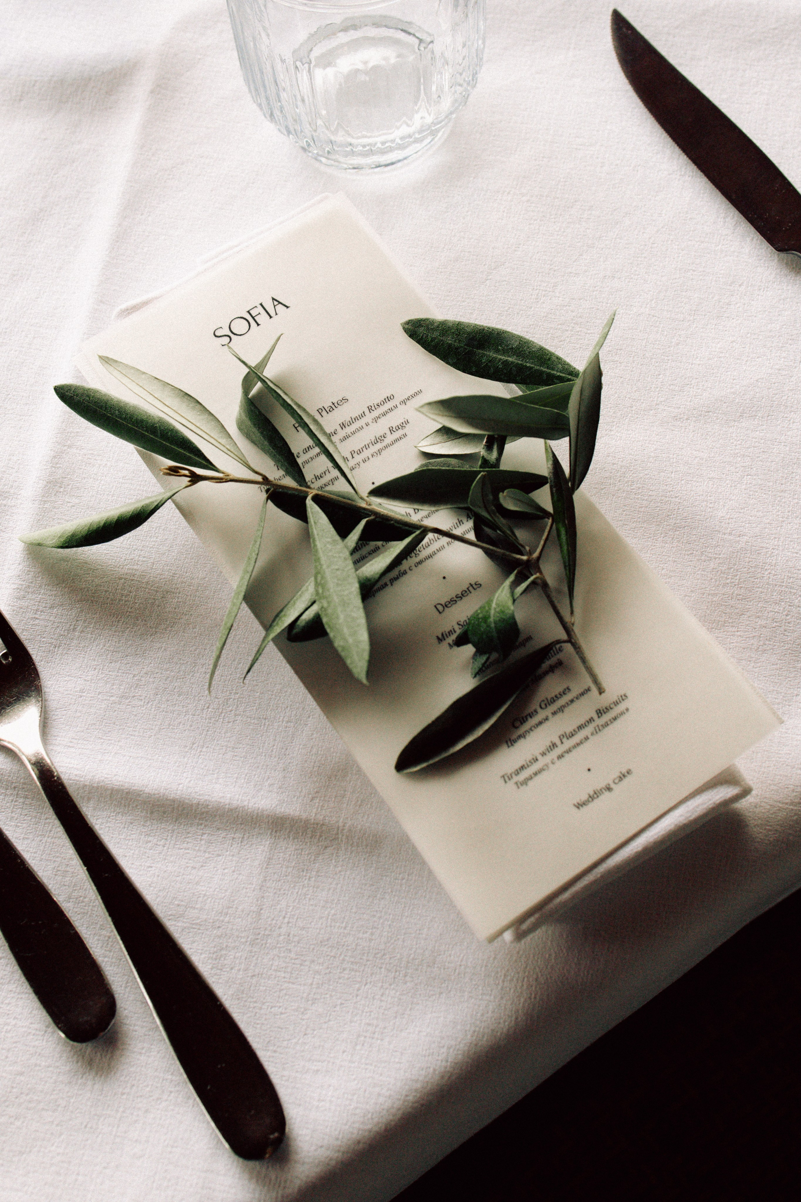 Wedding at Lake Garda in Limone sul Garda and Malcesine, Italy — Sofia and Egor. Liza Bizzaro — Italy Wedding, Love Story & Portrait Photographer in Milan, Turin, Piedmont and Across Italy