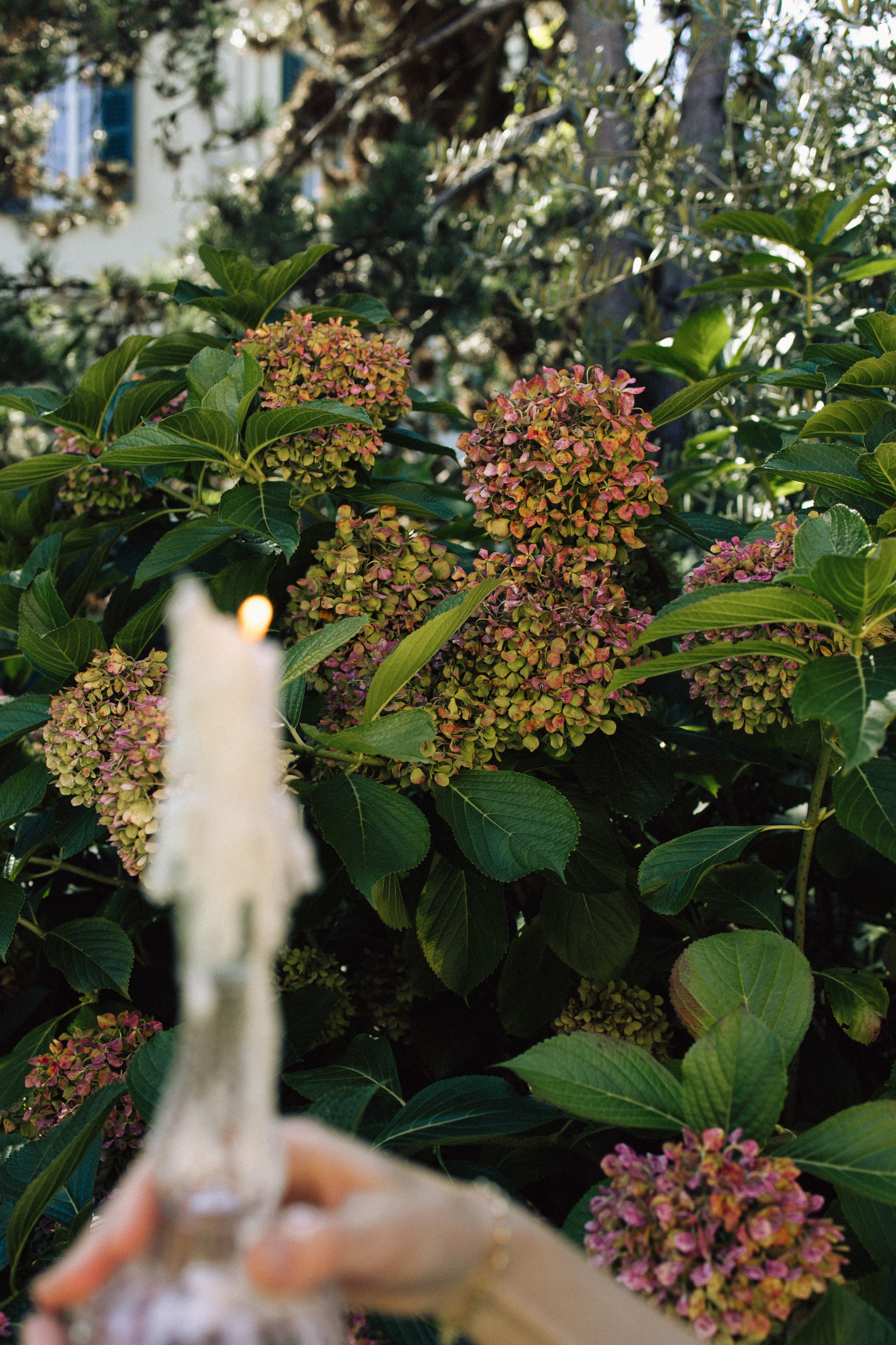 Intimate Elopement by Lake Como in Tremezzo, Italy — Ivanka and Stas. Liza Bizzaro — Italy Wedding, Love Story & Portrait Photographer in Milan, Turin, Piedmont and Across Italy