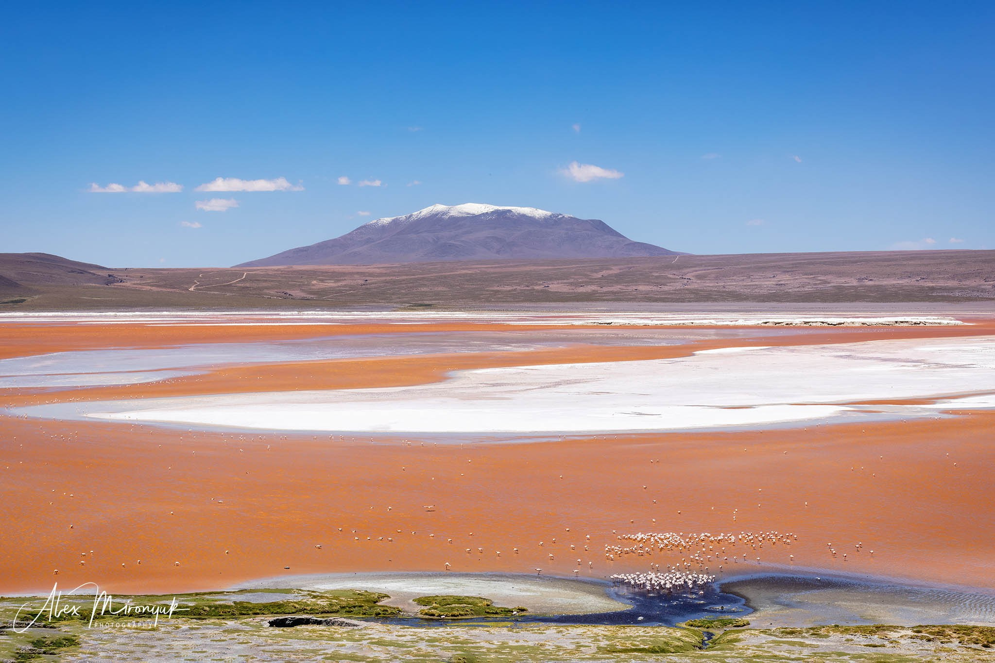 Bolivia Adventure — 2025. Pet, Senior, Landscape, portrait studio, photographer in Miami and Sou
