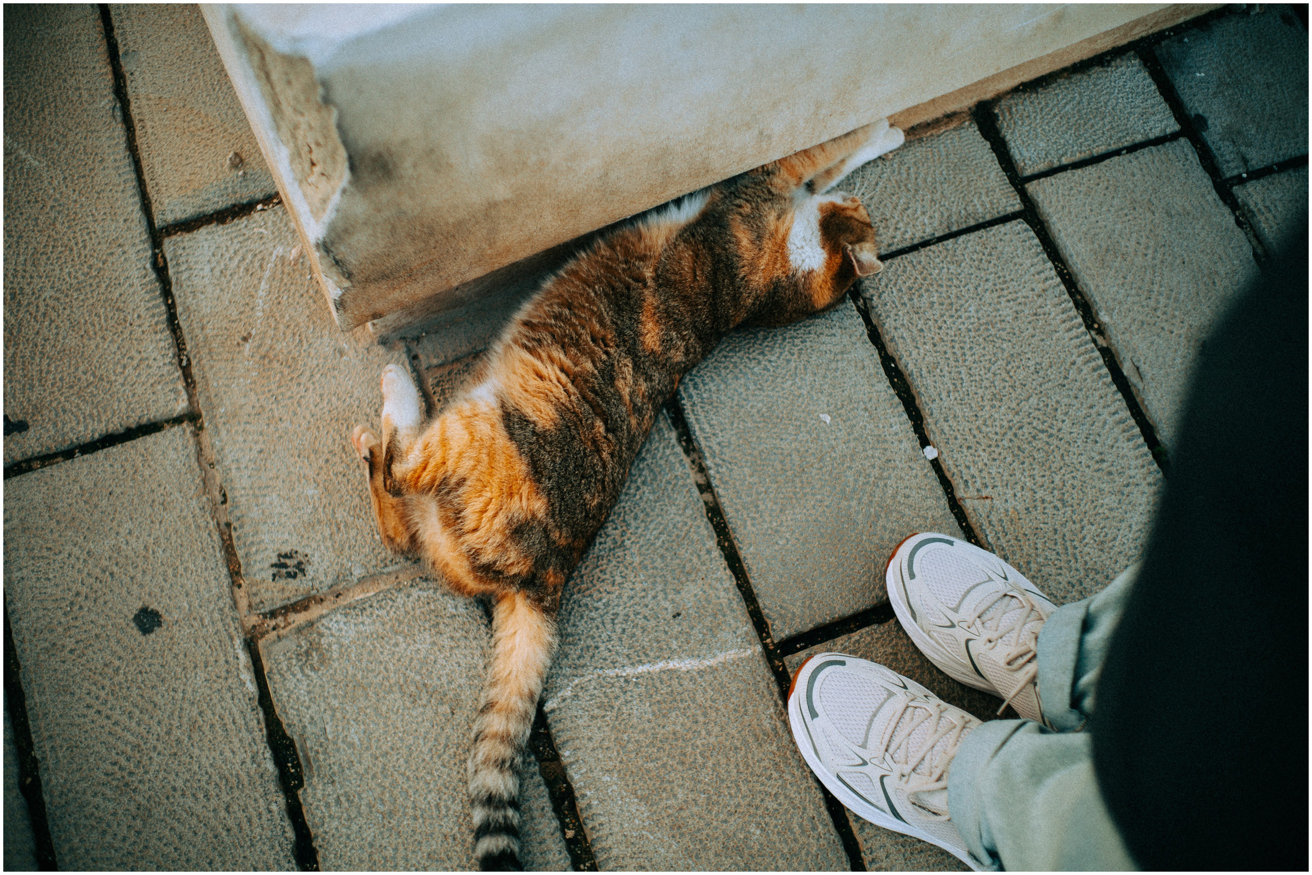 PALERMO. Photographer Inna Mendelson