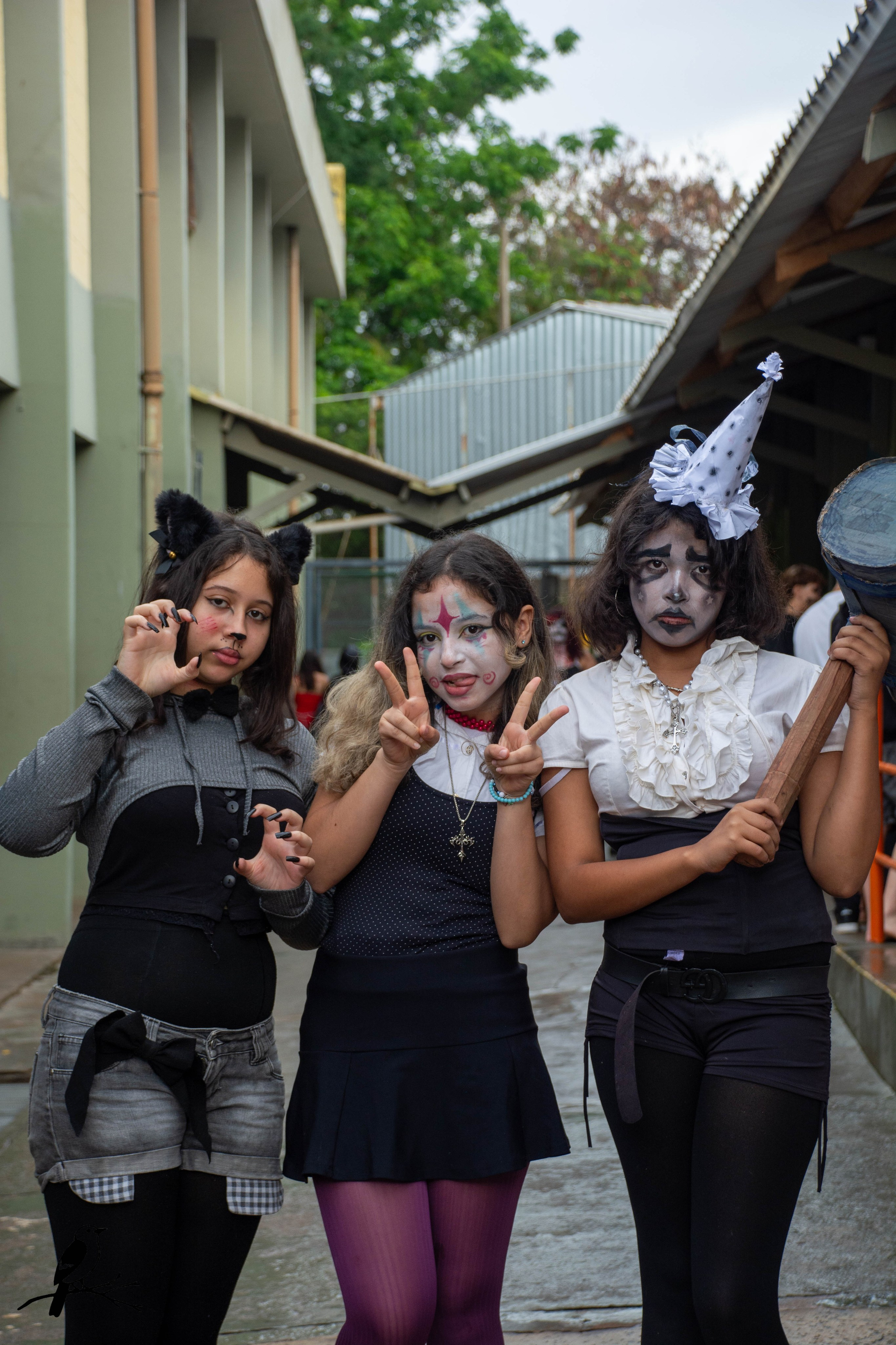 Festa Halloween. AerobirdStudios