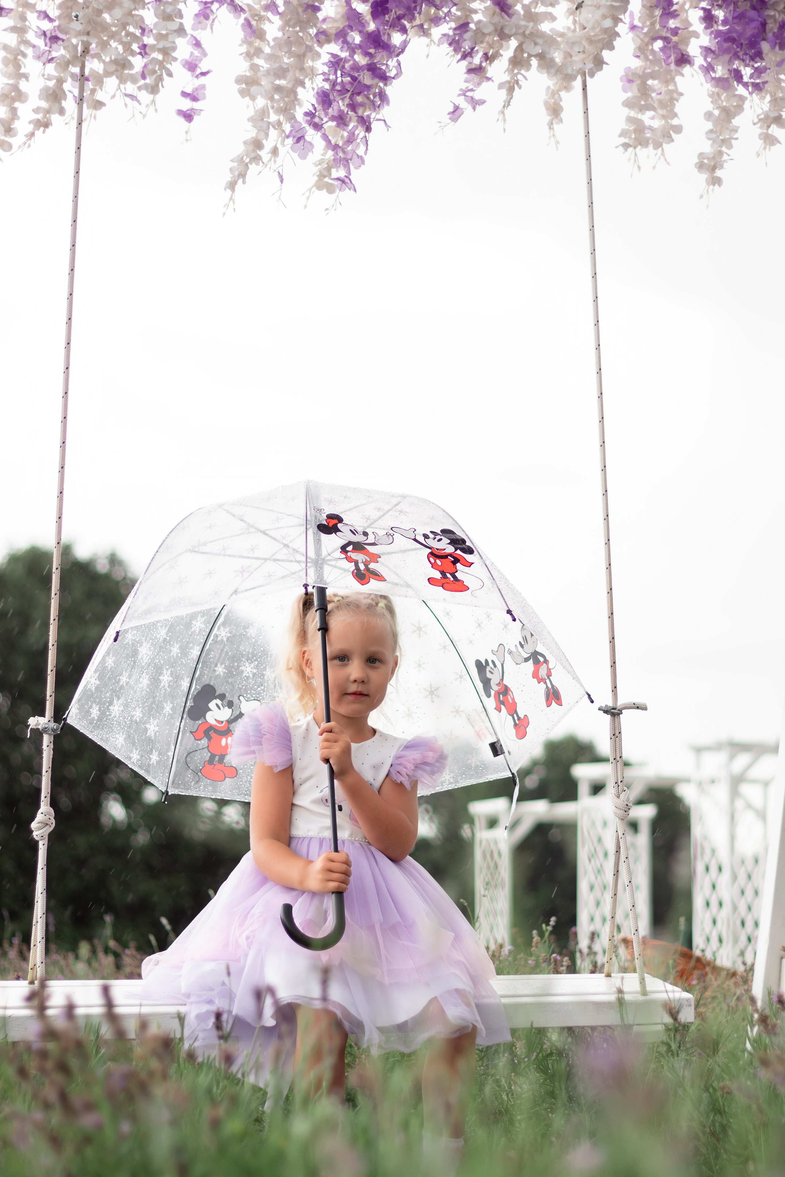 Лавандовое поле