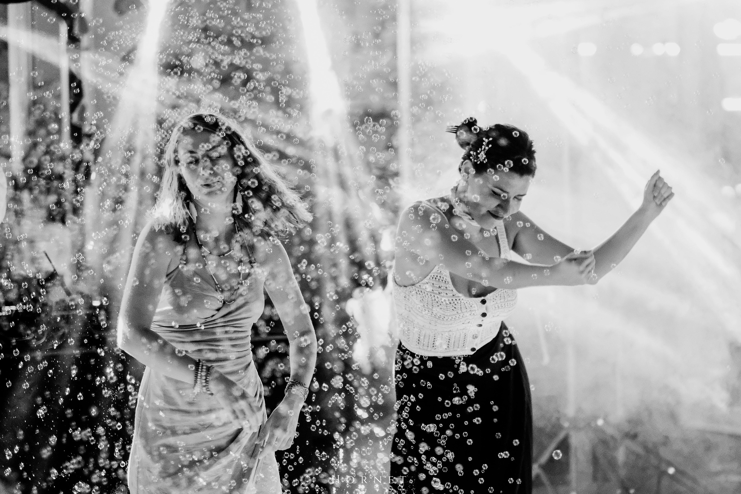 Mihaela + Edi. Hornetart